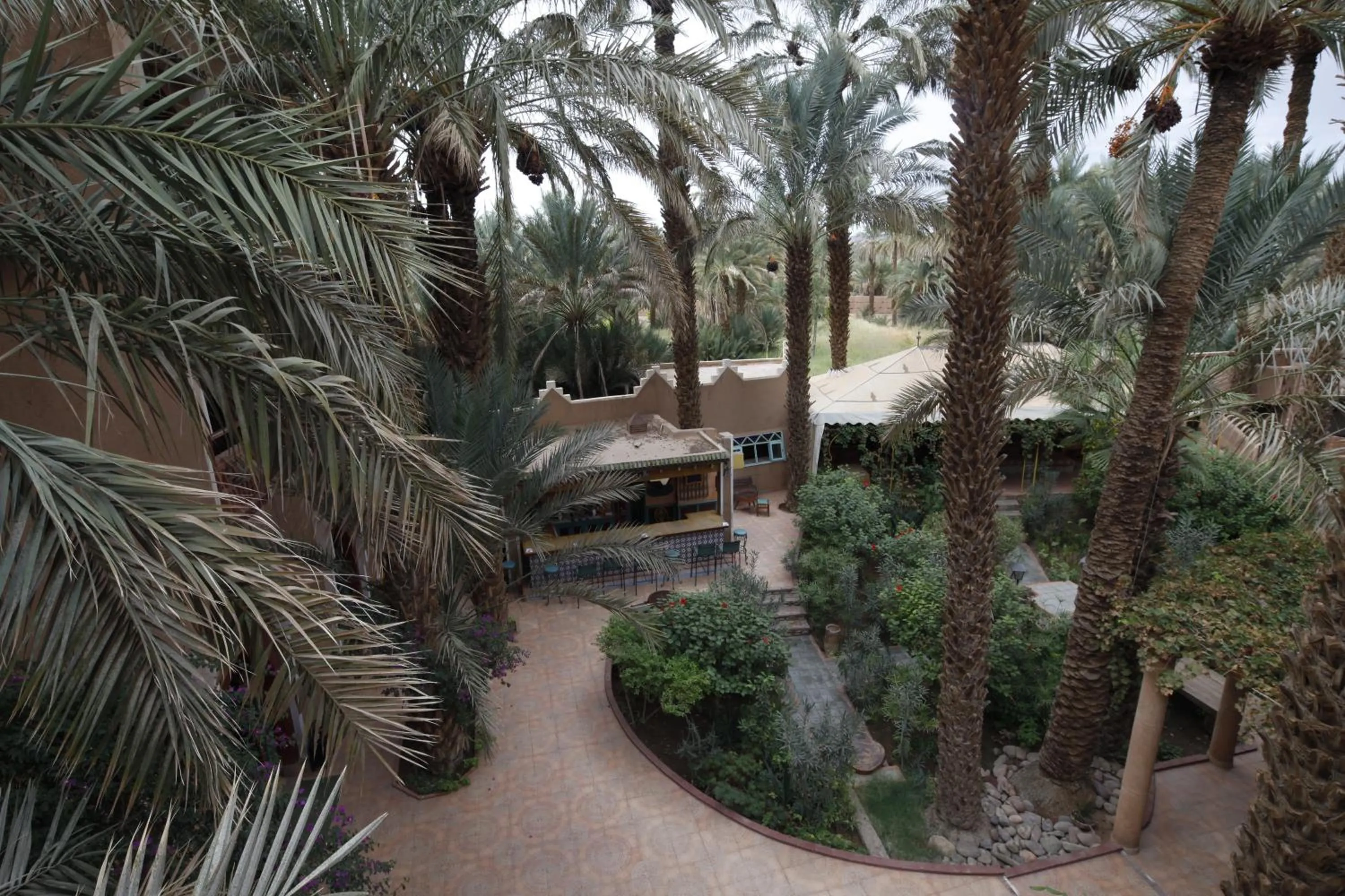 Fibule Du Draa Kasbah D'hôtes