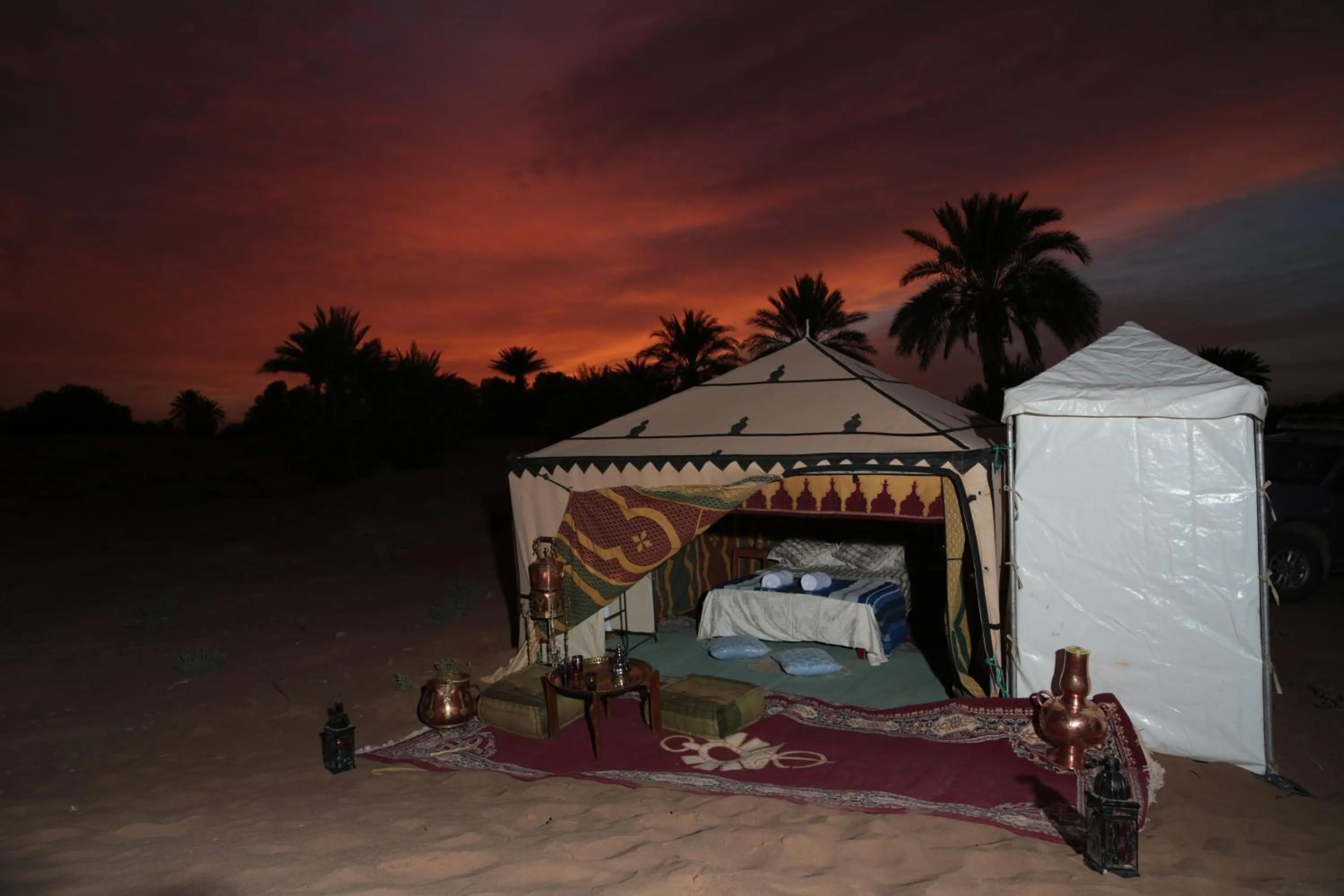 Activities in Fibule Du Draa Kasbah D'hôtes