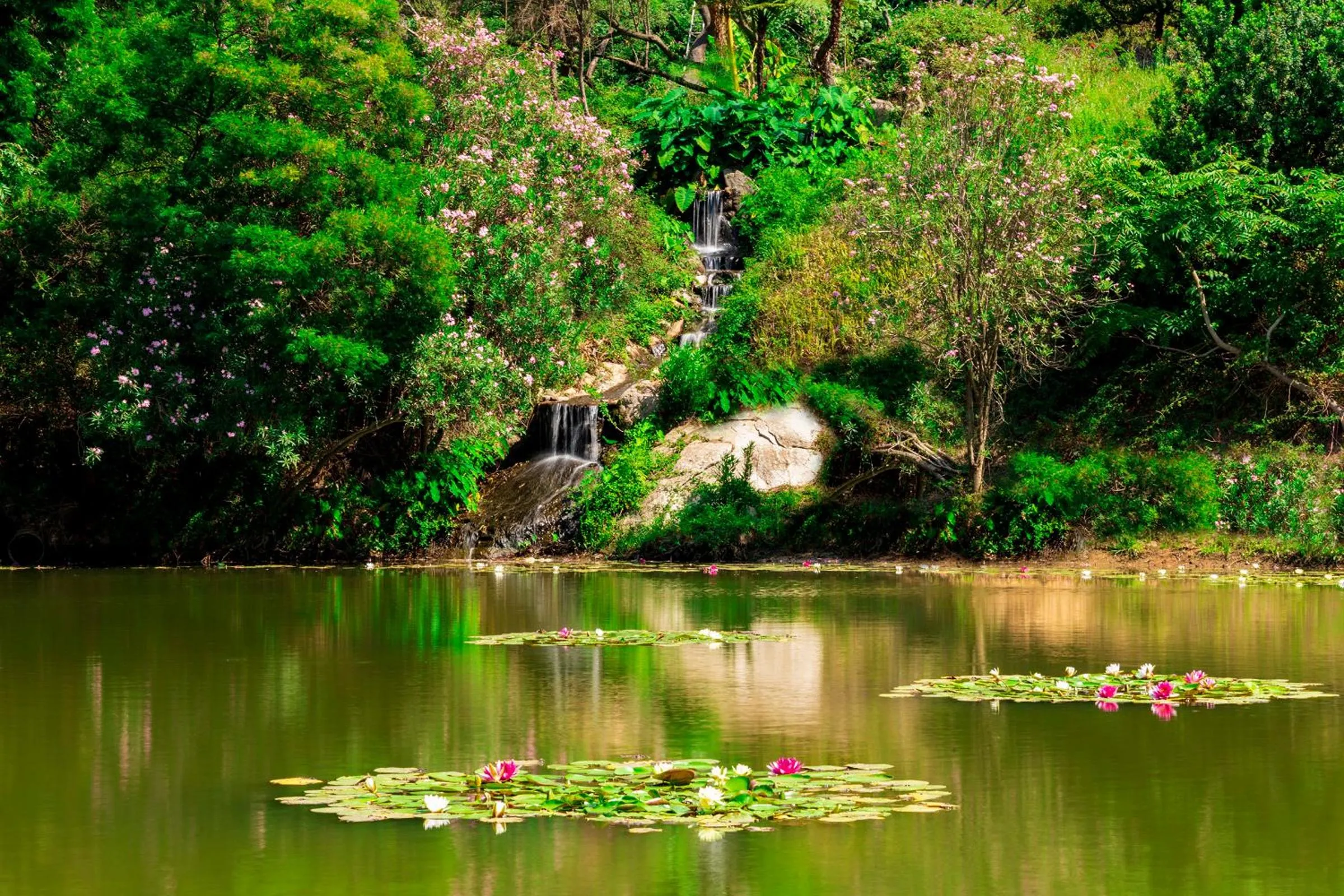 Natural landscape in Arbatax Park Resort - Telis