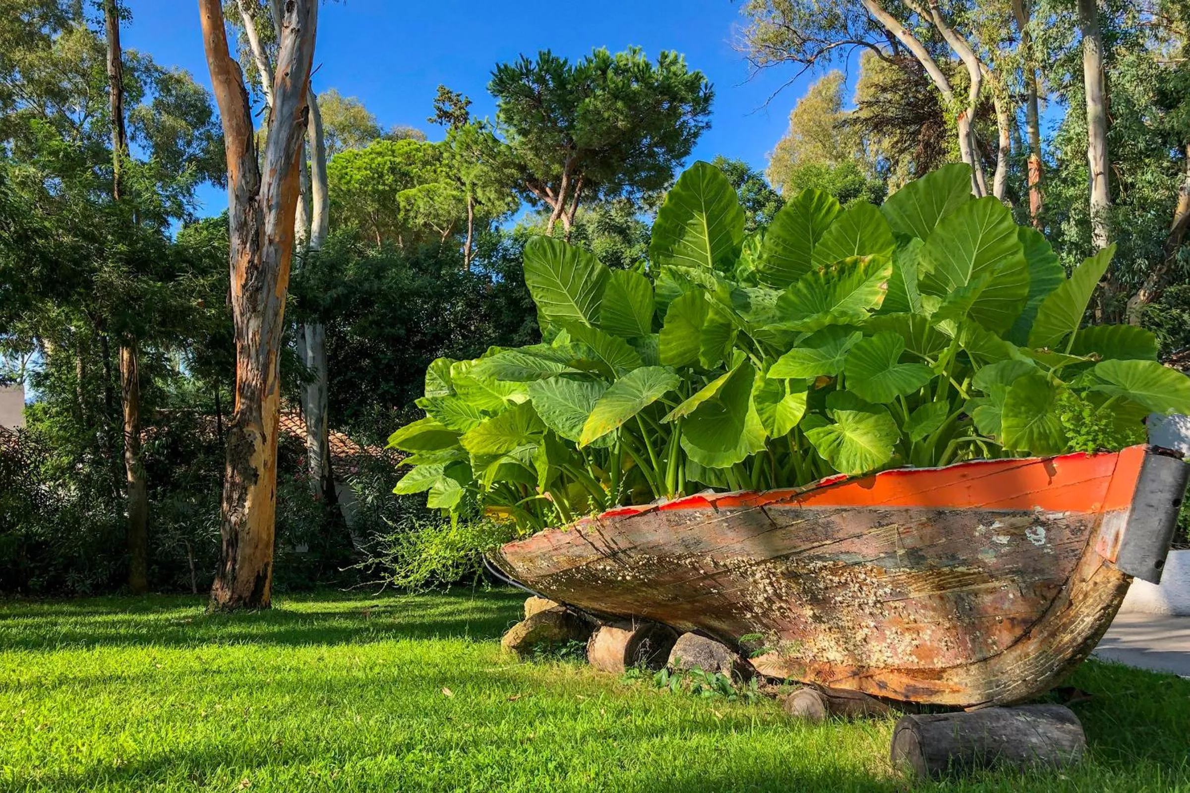 Natural landscape in Arbatax Park Resort - Telis