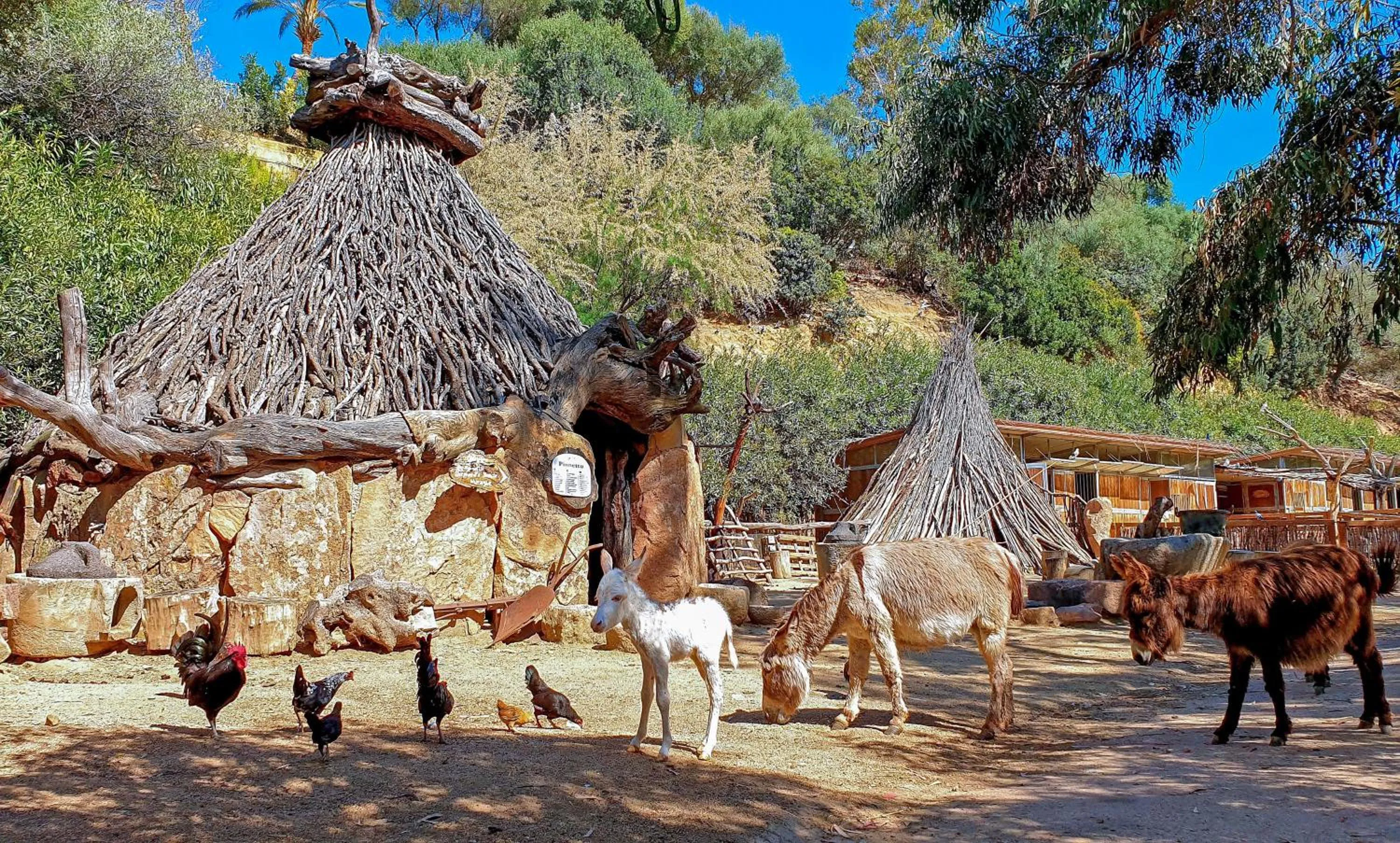 Animals in Arbatax Park Resort - Telis