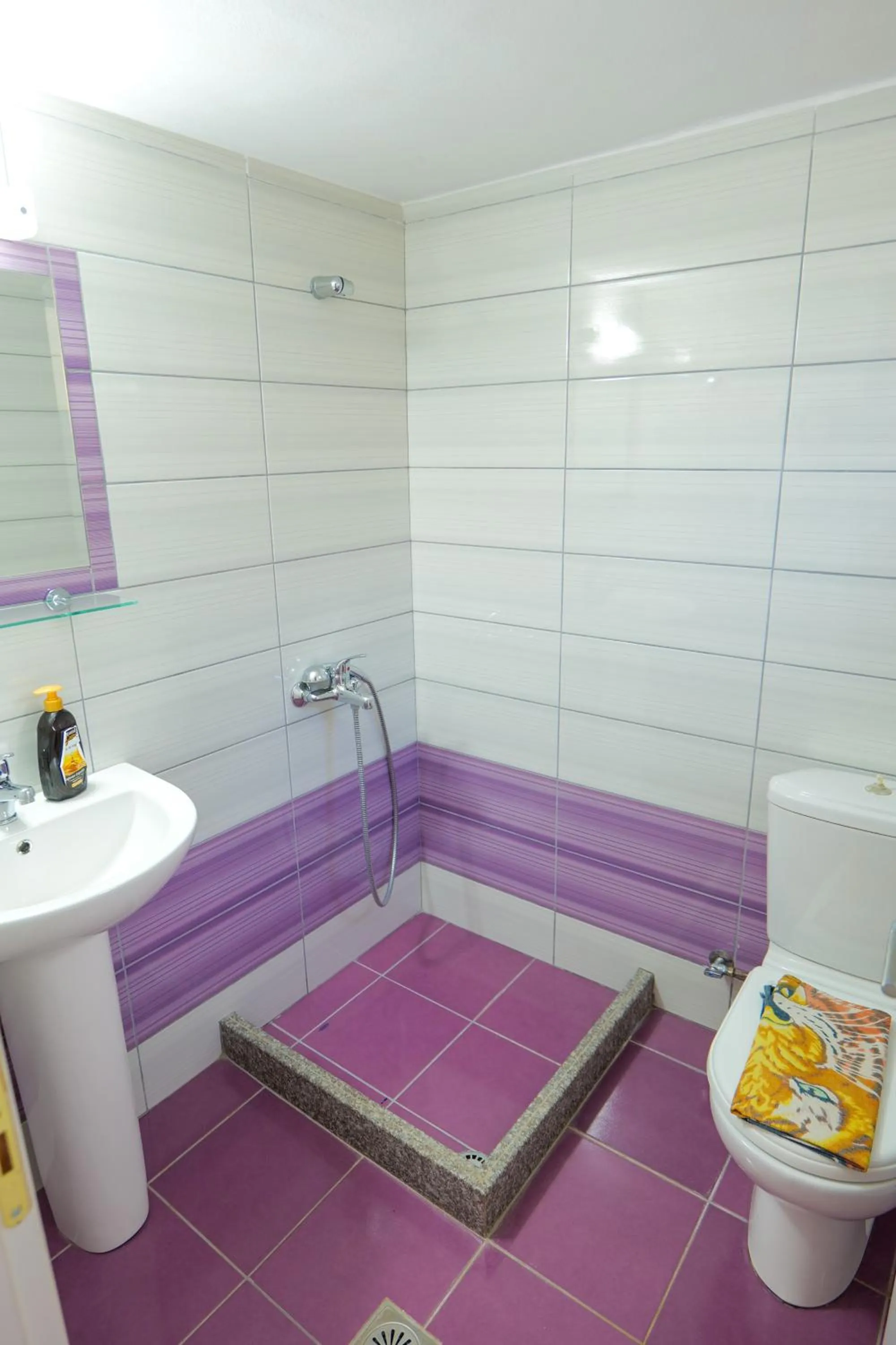 Shower in Hotel Chris