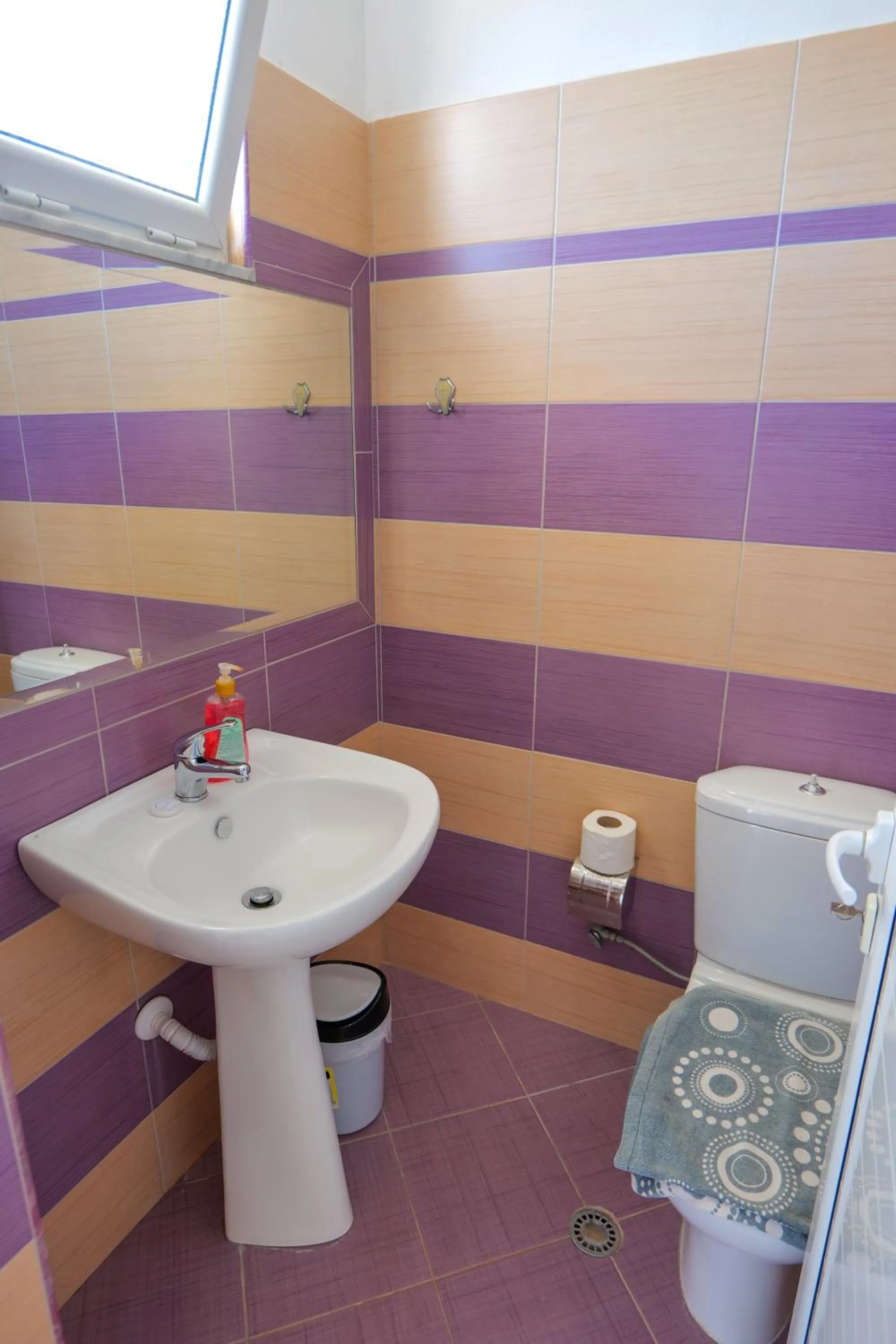 Bathroom in Hotel Chris