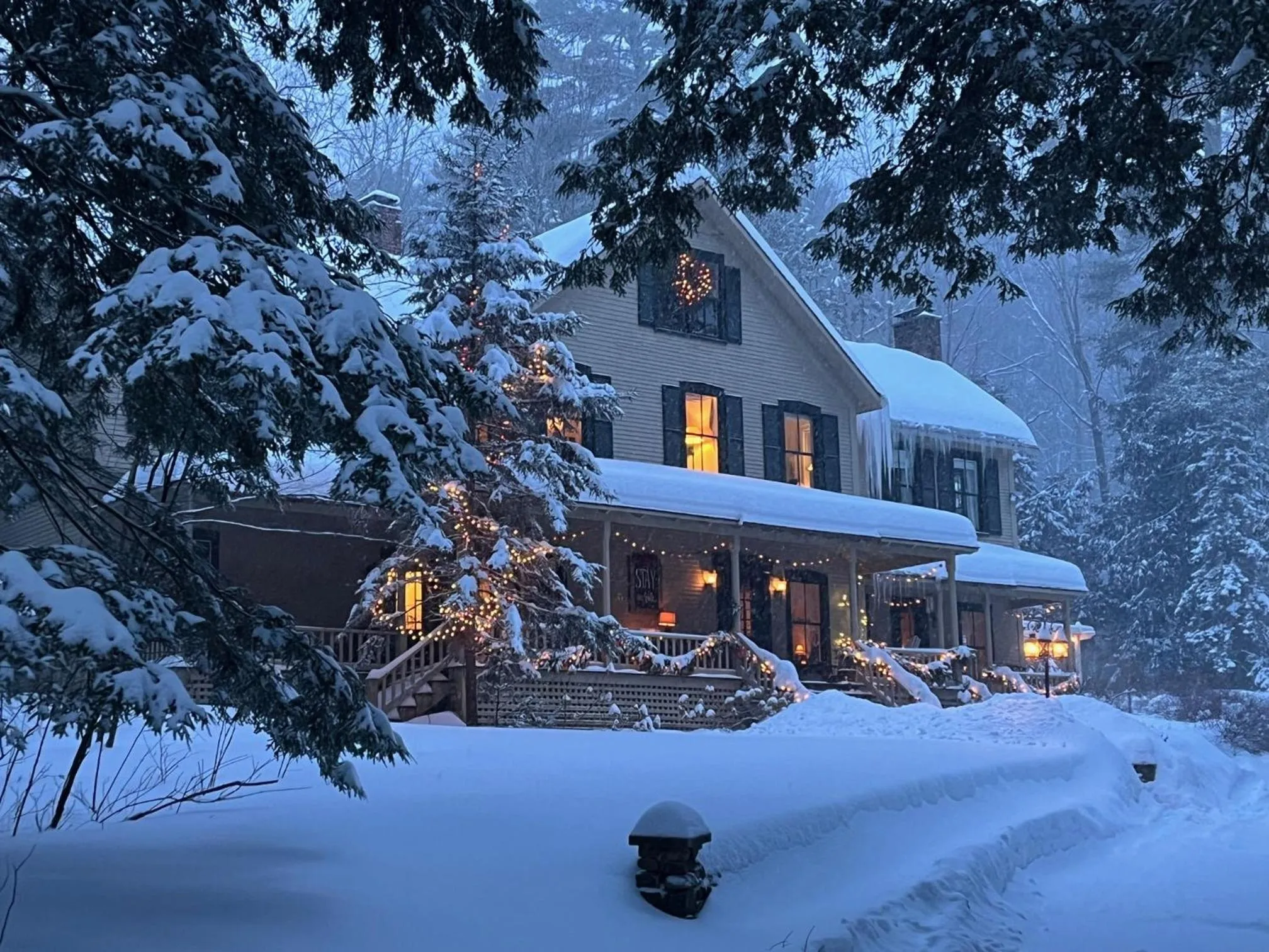 Snow Goose Bed and Breakfast