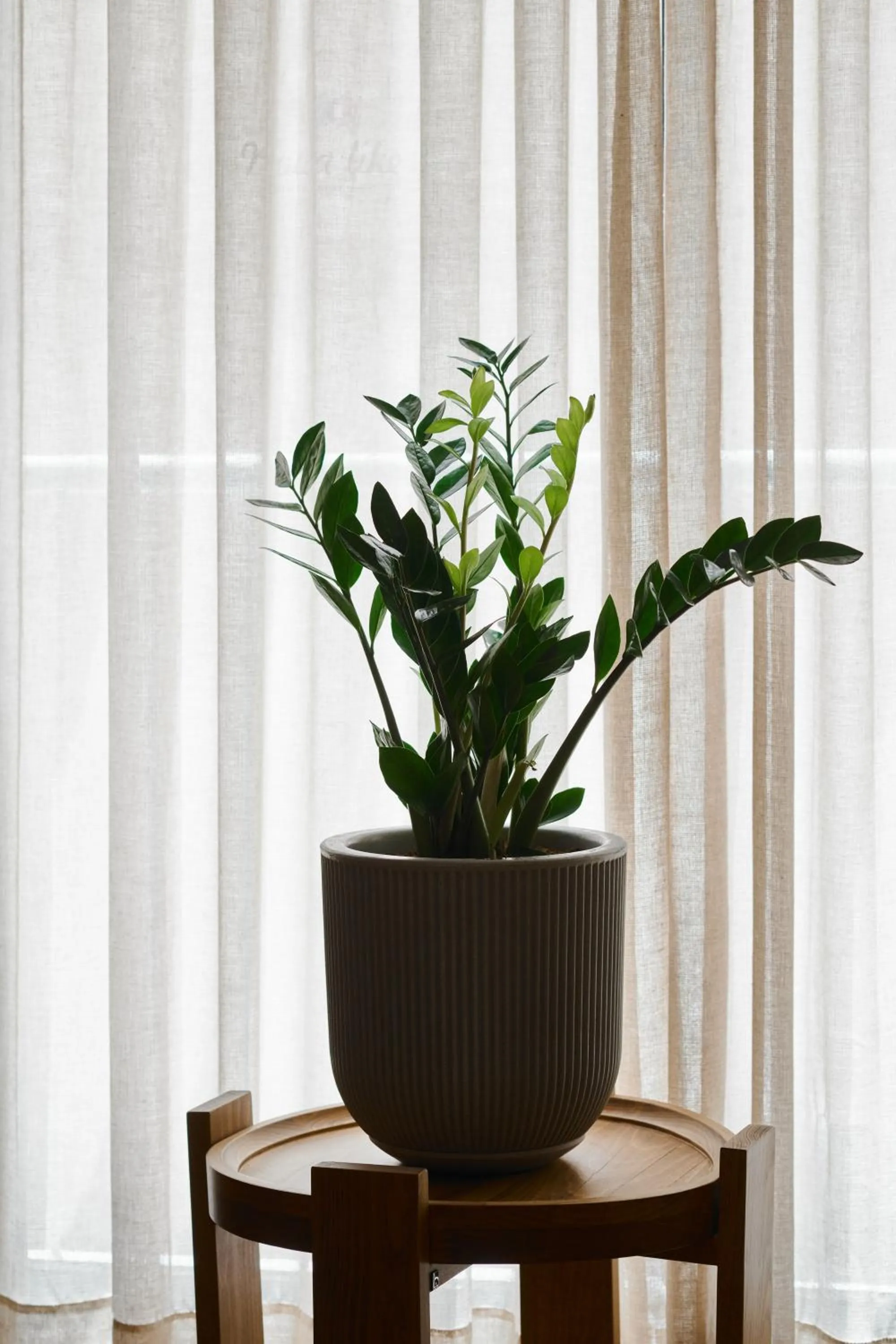 Decorative detail in Neve Eilat Hotel By Atlas Hotels