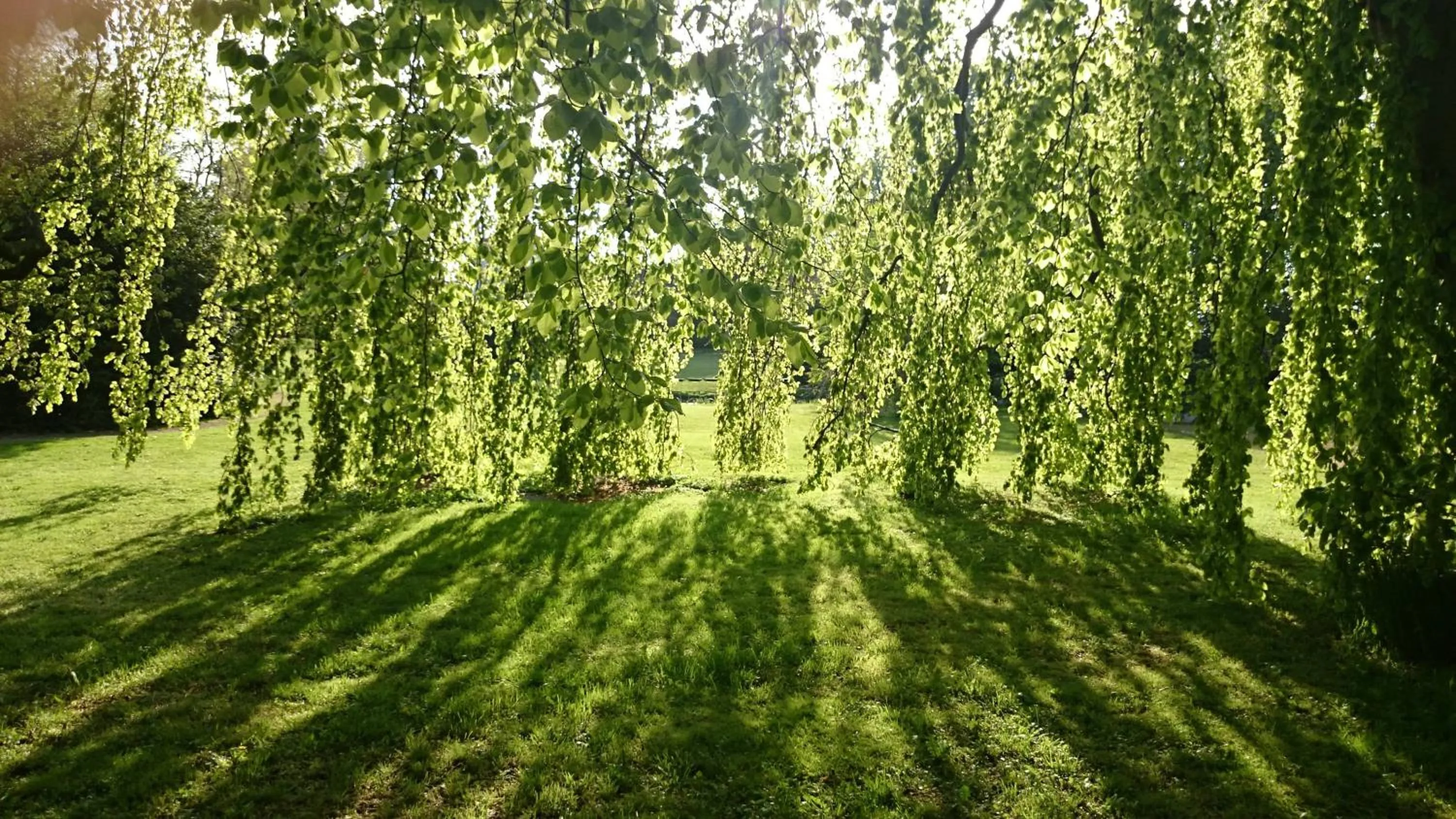 Garden view in Ängavallen