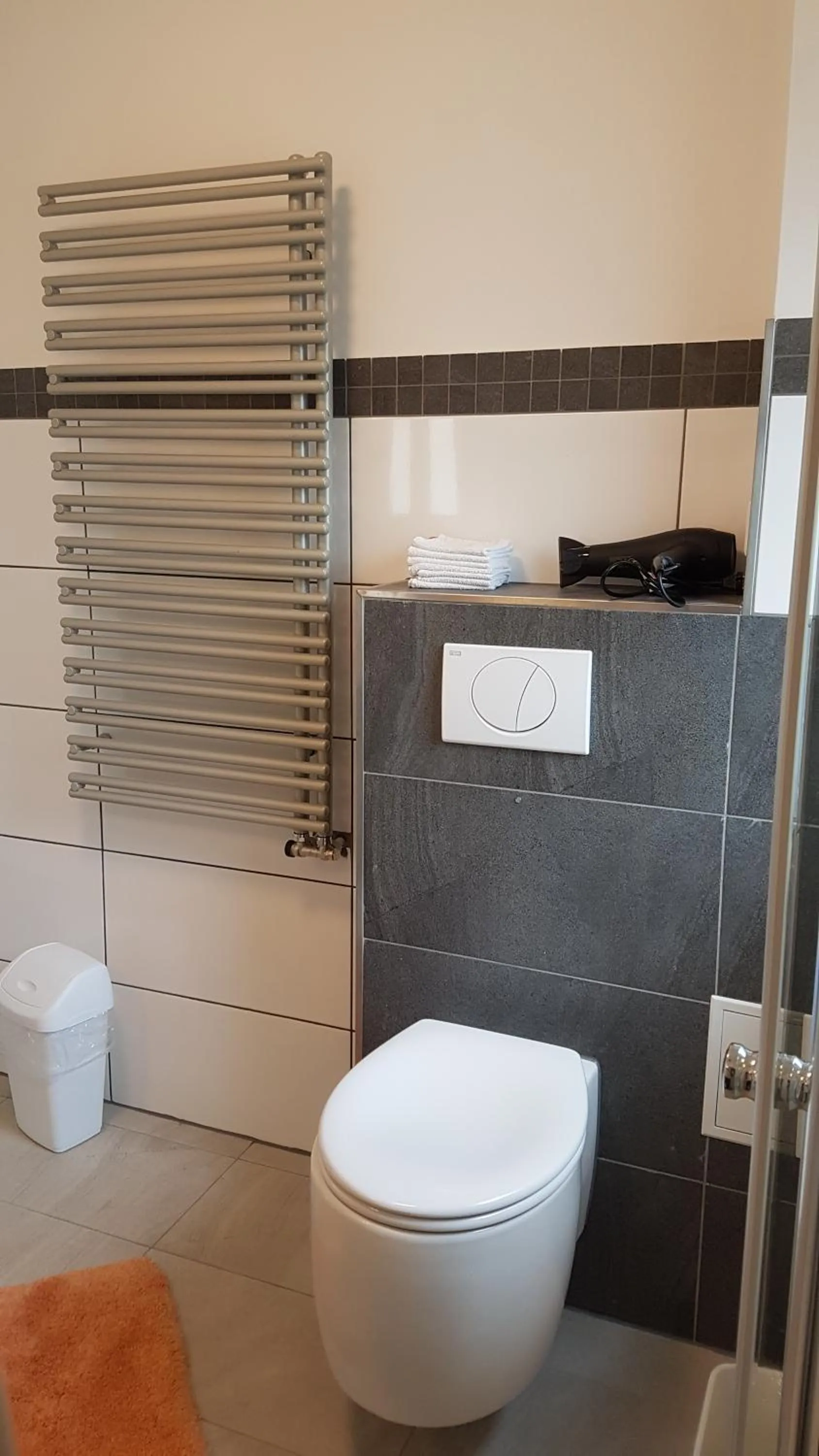 Toilet in gemütliches großzügiges Appartement Steinbreche barrierefrei