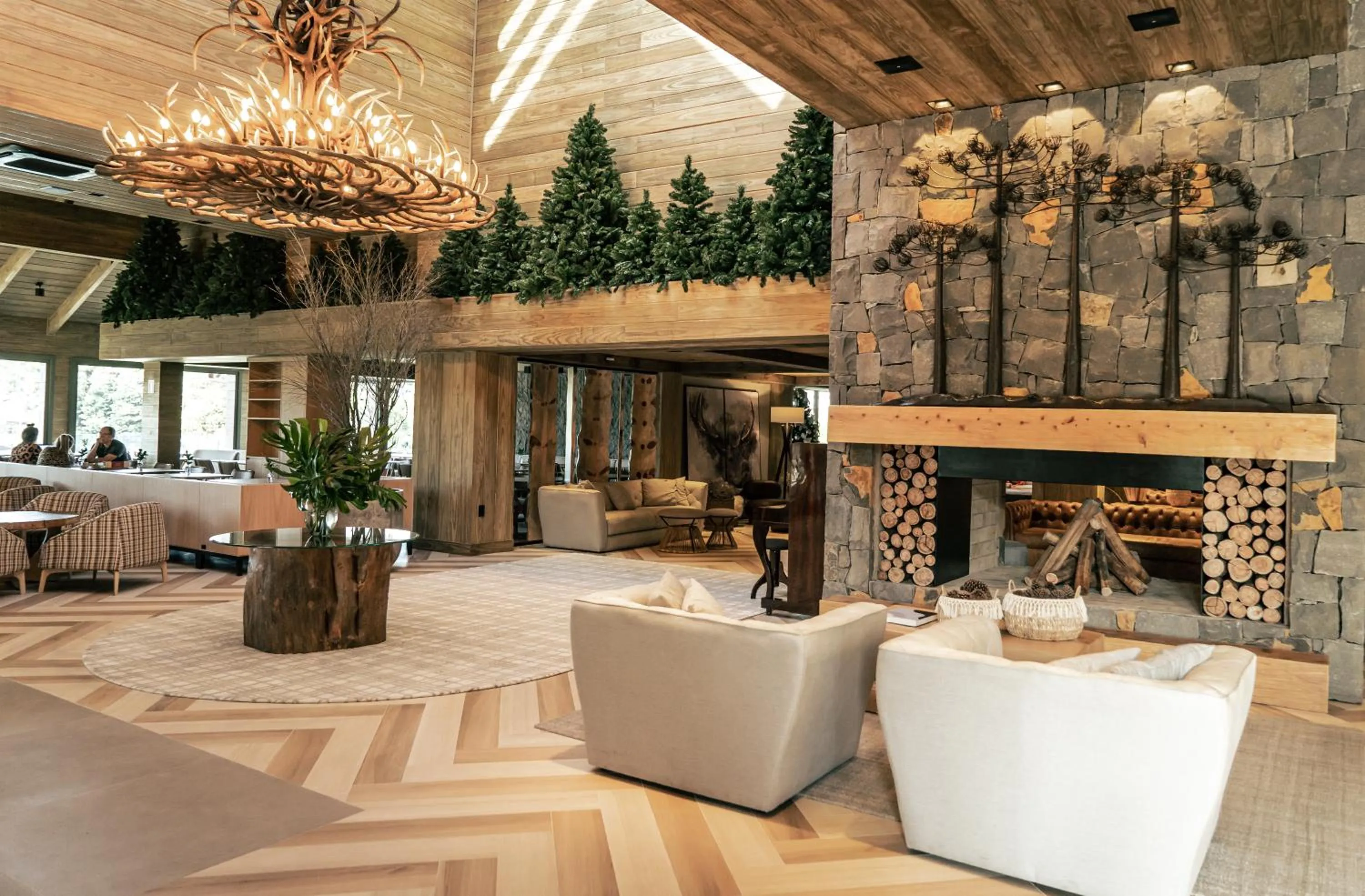 Lobby or reception in Hotel Alpestre