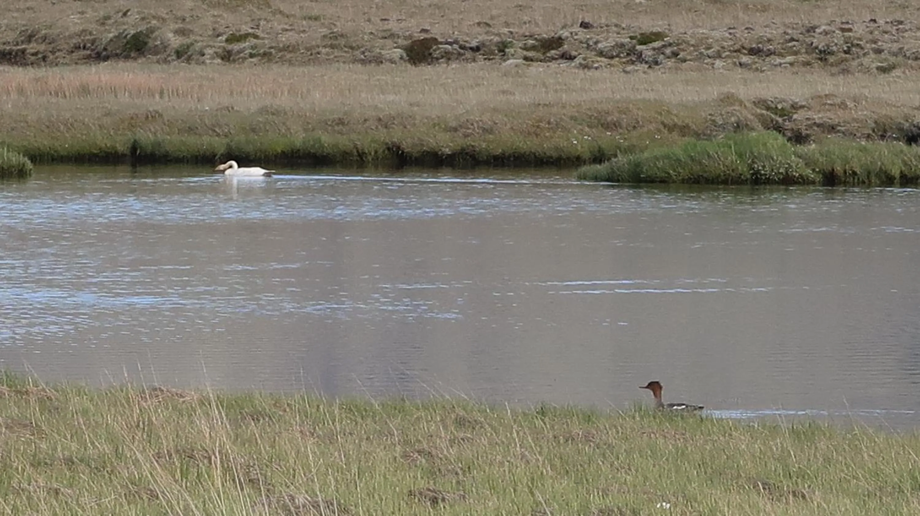Summer in Hvoll Hostel