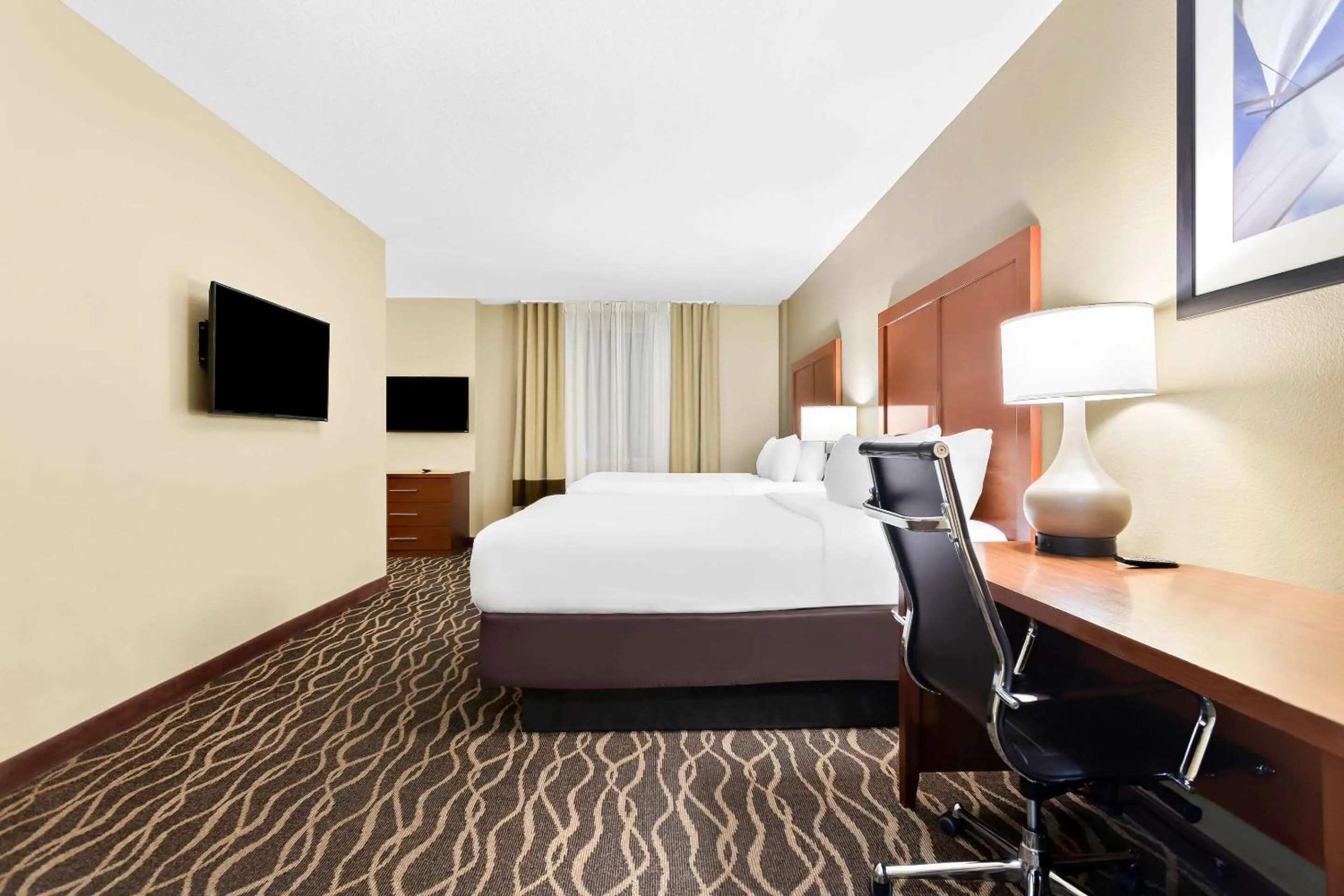 Bedroom, Bed in Comfort Suites Tampa Airport North