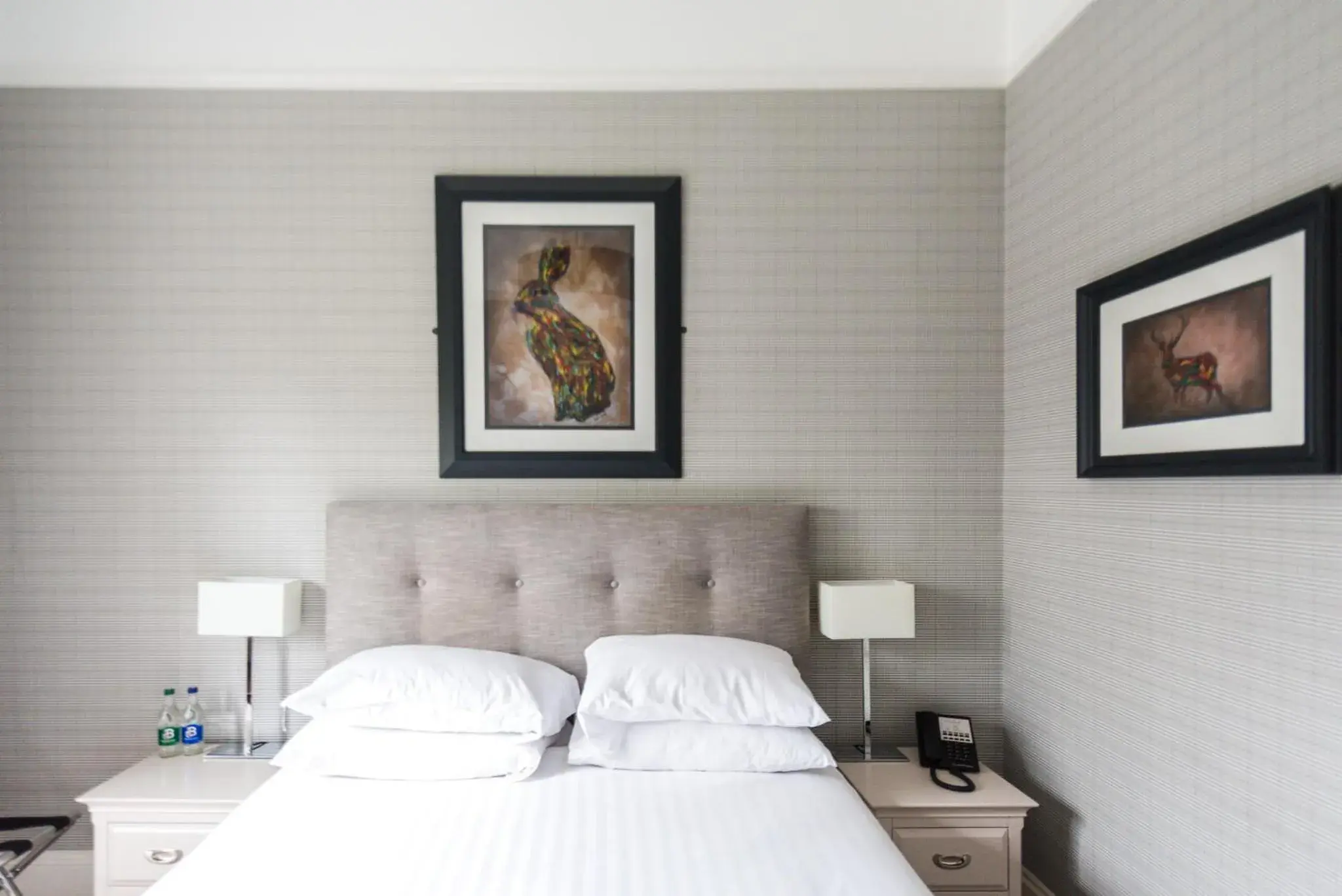 Deluxe Double Room in Belmont House Hotel Deluxe Double Room in Belmont House Hotel