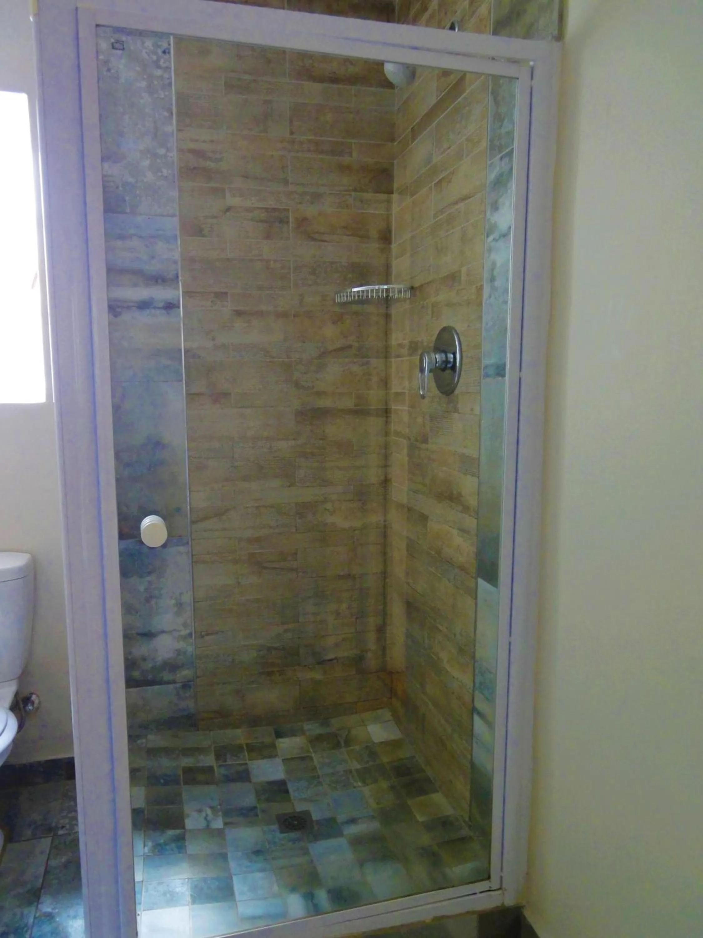 Shower in The Greenhouse Guesthouse