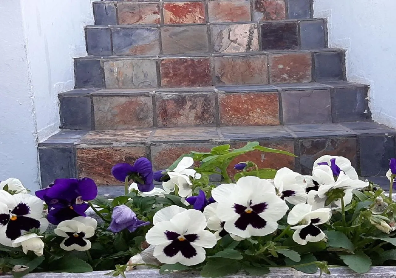 Patio in The Greenhouse Guesthouse