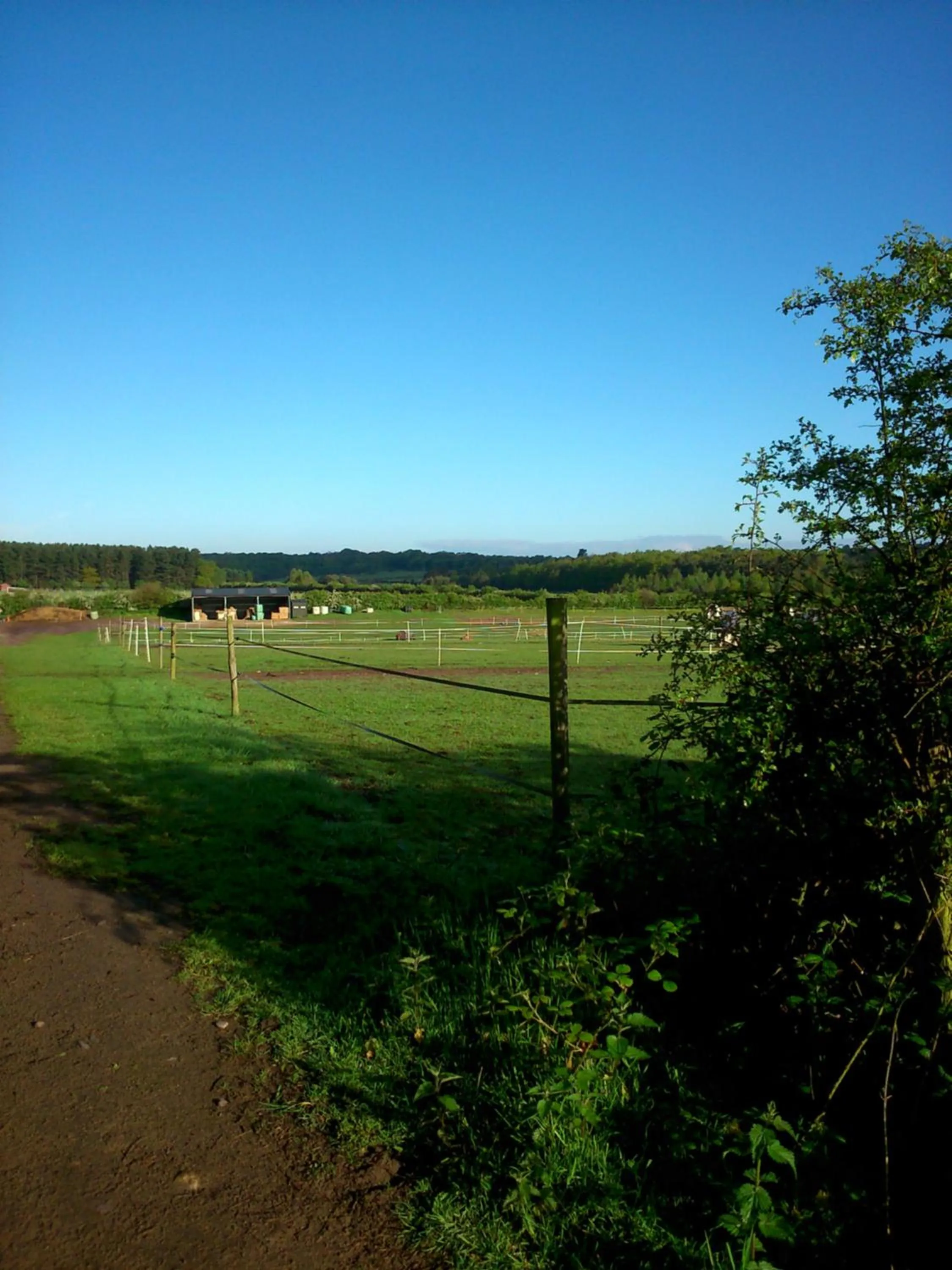 Natural landscape in Clumber Lane End Farm