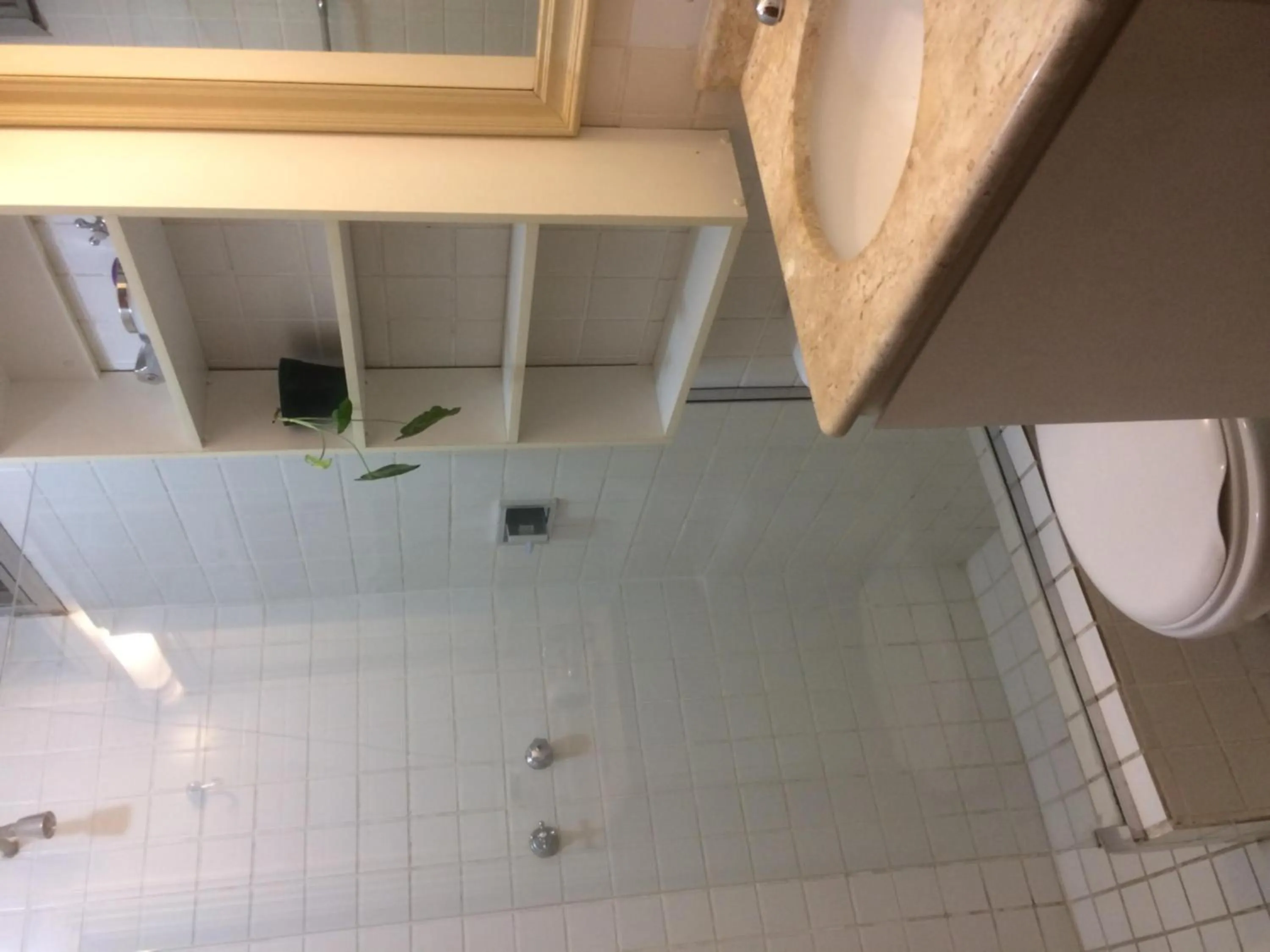 Bathroom in Comodita