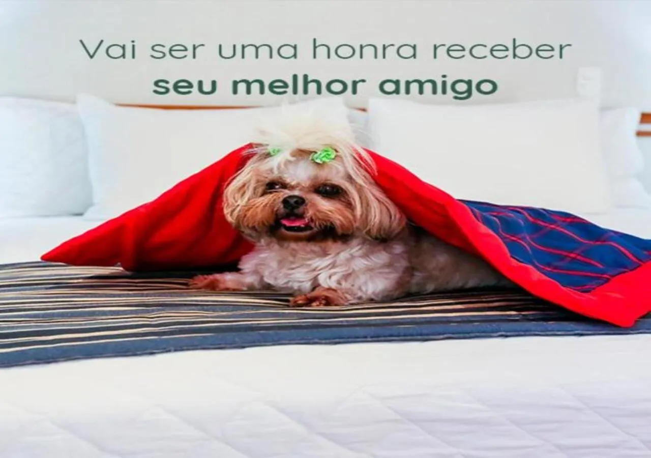 Pets in Transamerica Executive Sorocaba