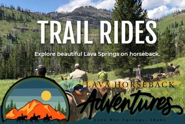 Horse-riding in Bristol Cabins