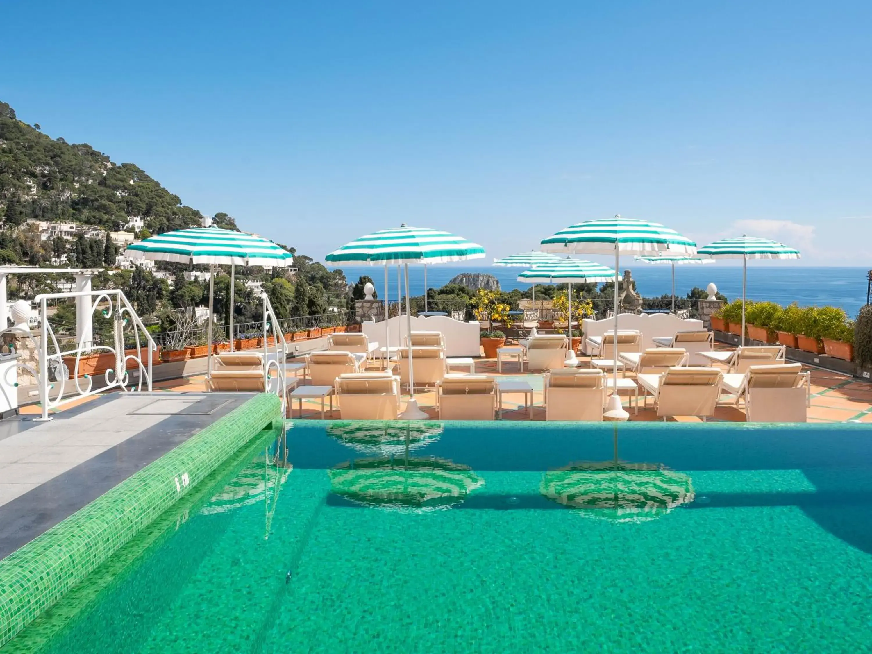 Sina Flora Sina Flora