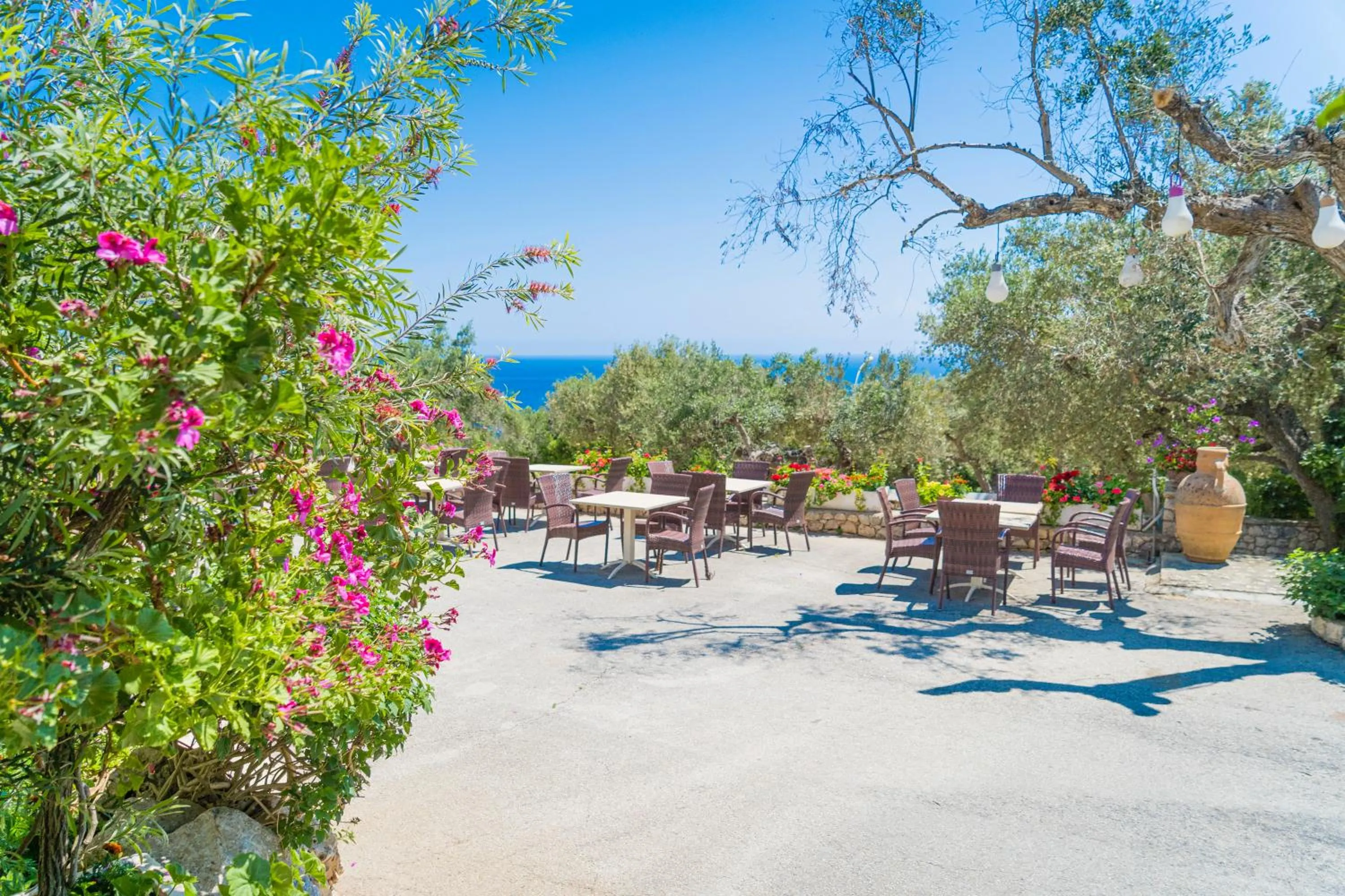 Garden in Hotel Orsa Maggiore