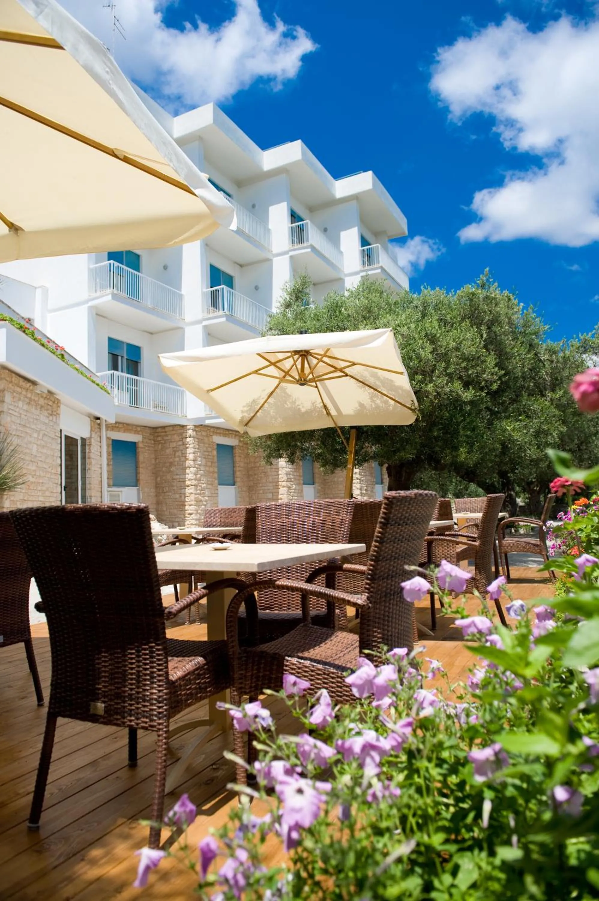 Restaurant/places to eat in Hotel Orsa Maggiore