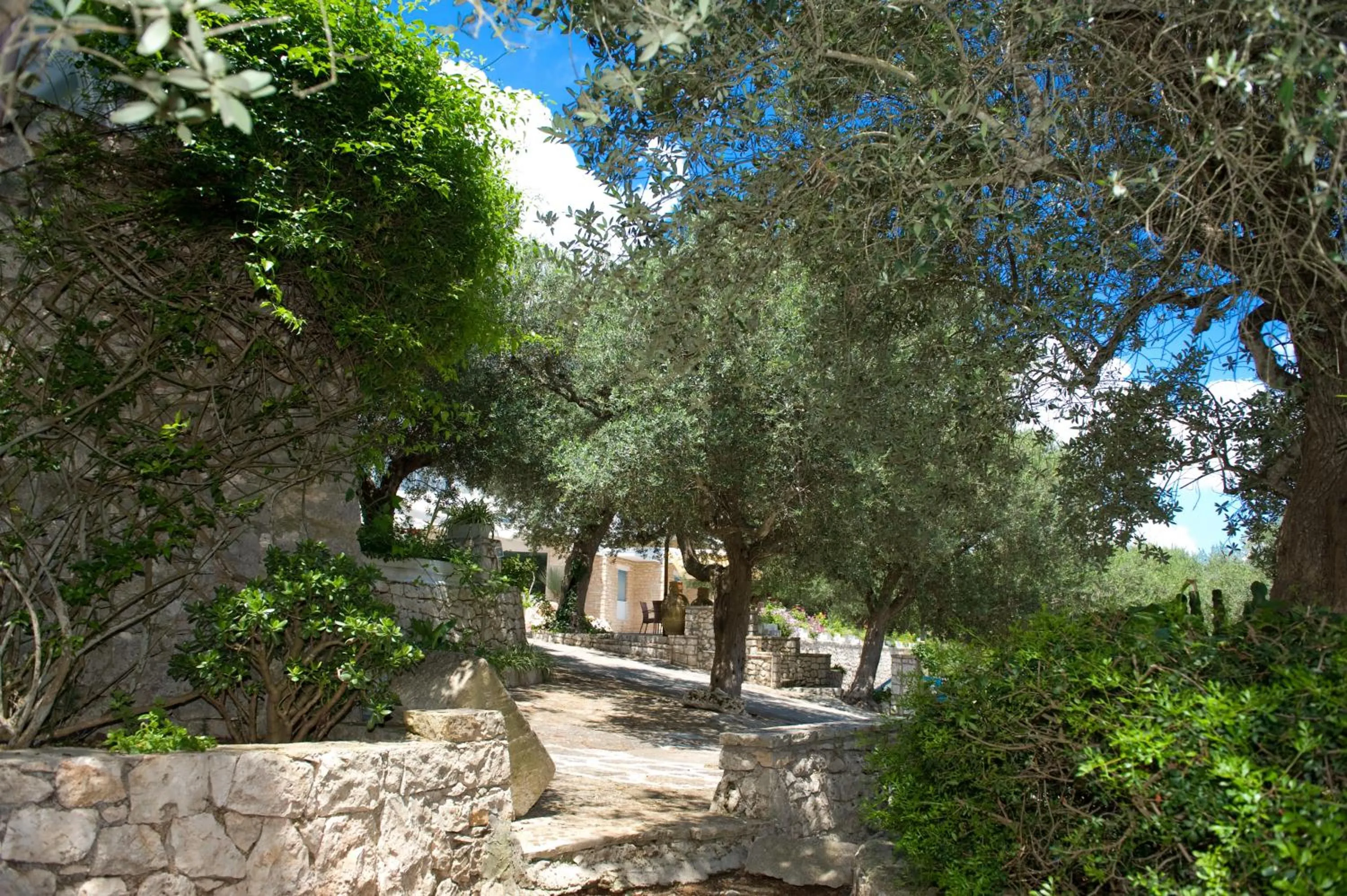 Garden in Hotel Orsa Maggiore