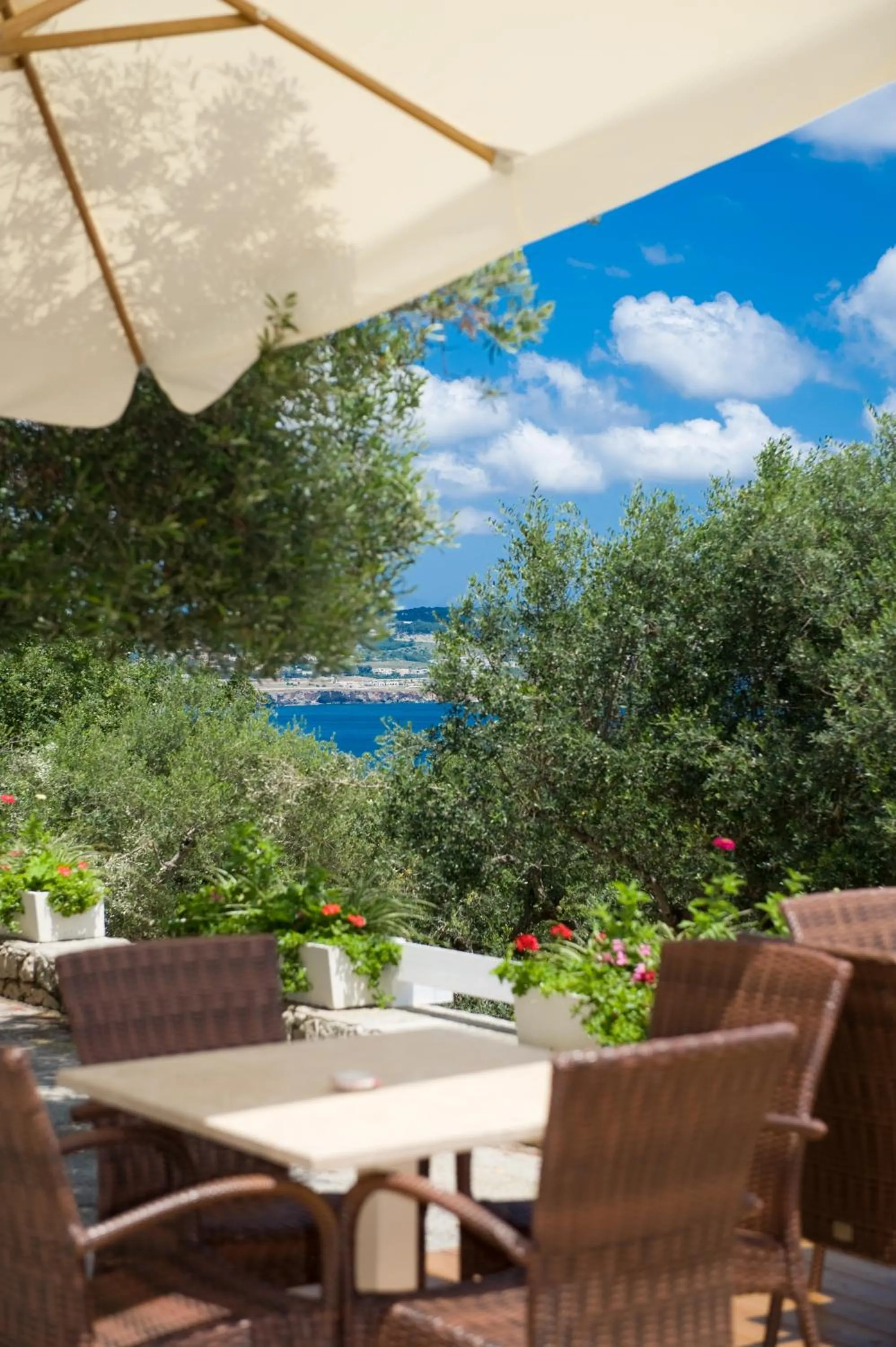 Garden in Hotel Orsa Maggiore