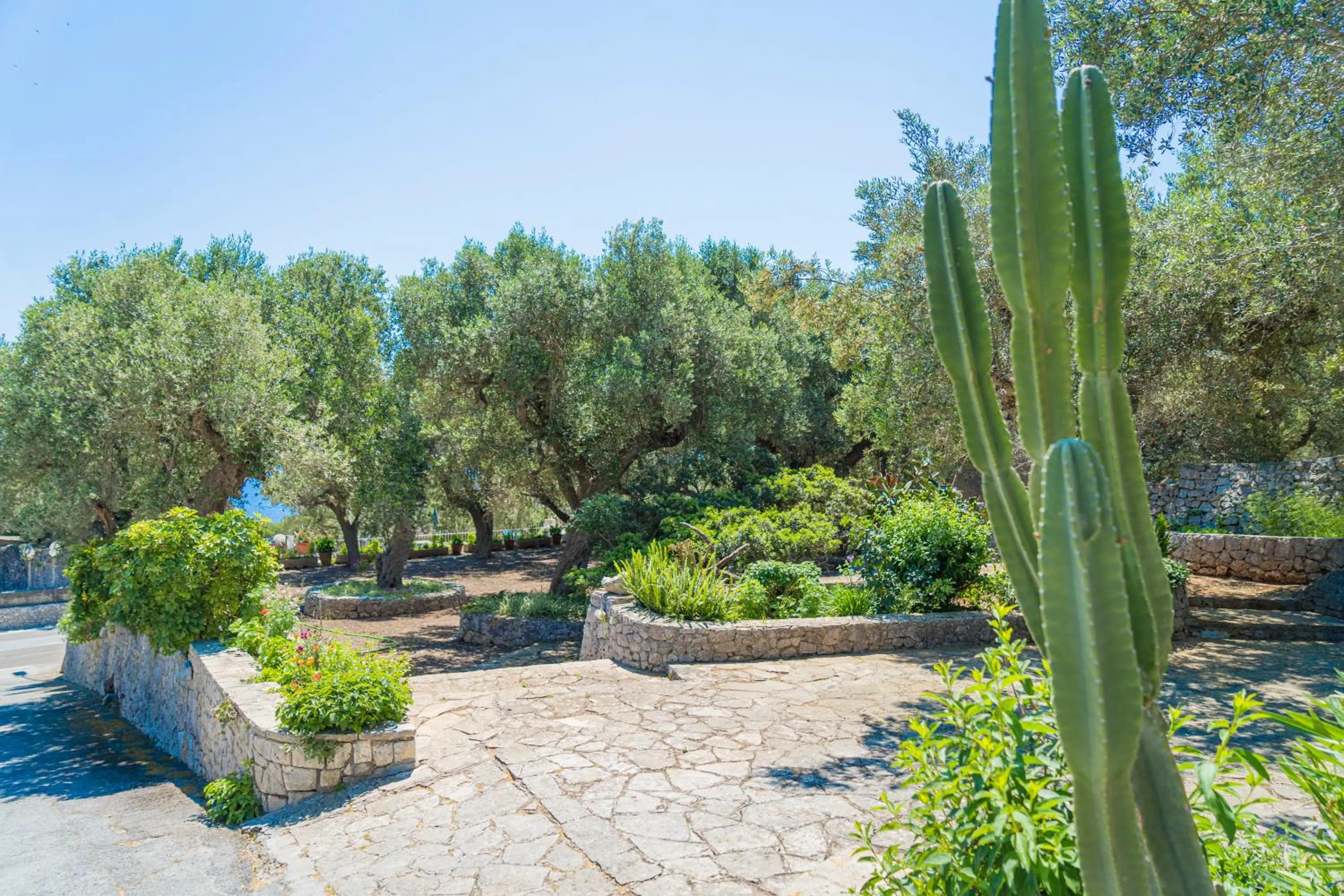 Garden in Hotel Orsa Maggiore