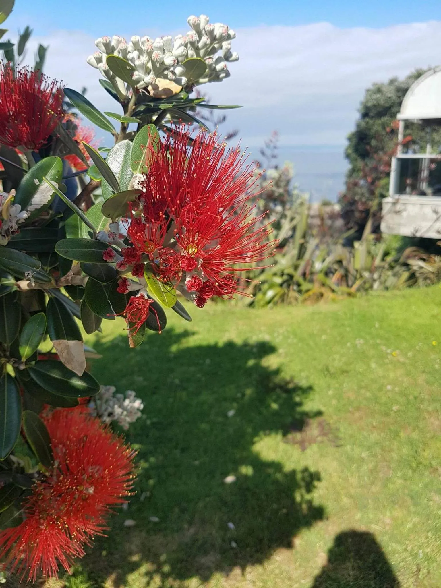 Natural landscape in Te Kaha Beach Hotel