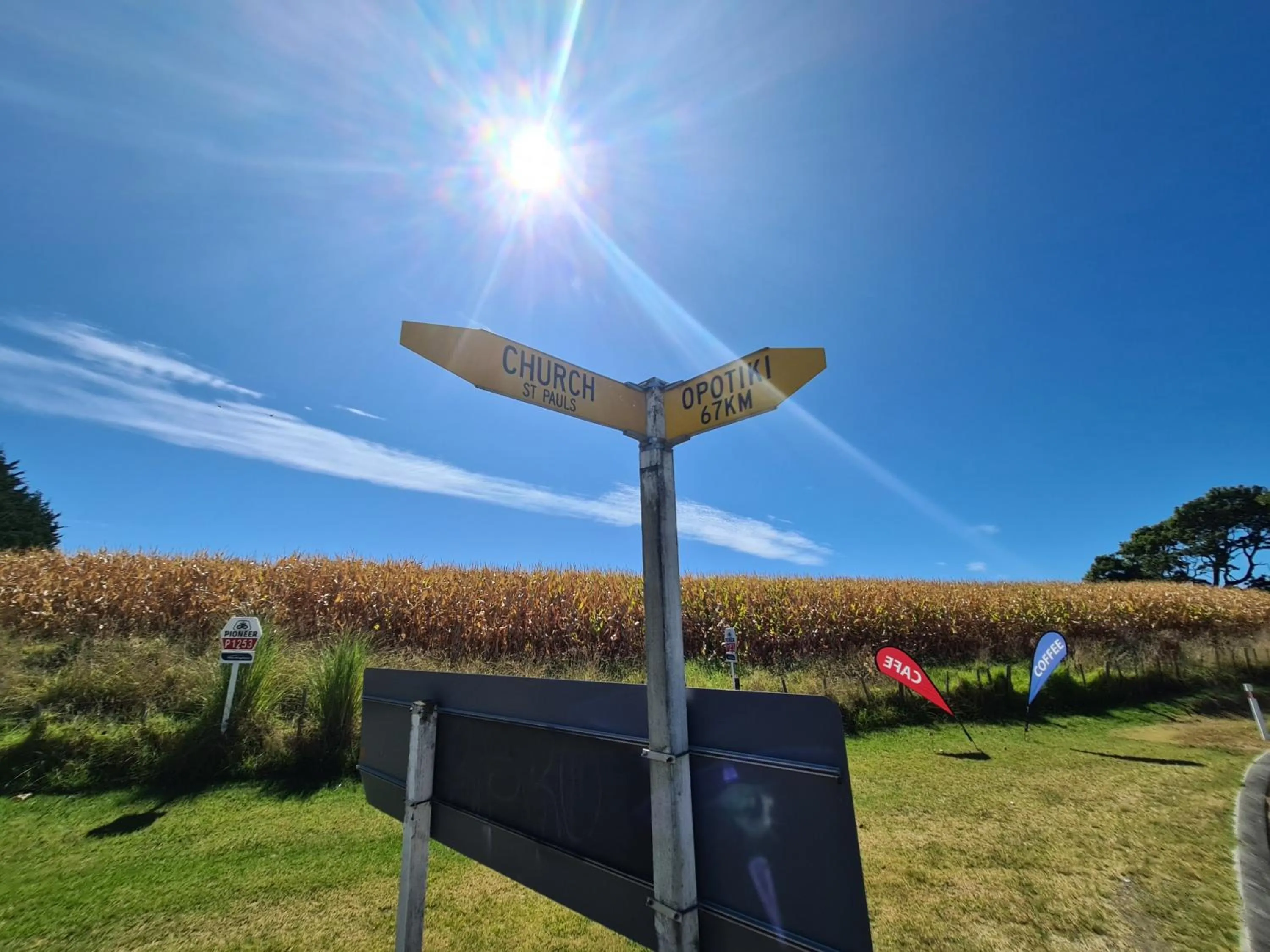 Garden in Te Kaha Beach Hotel