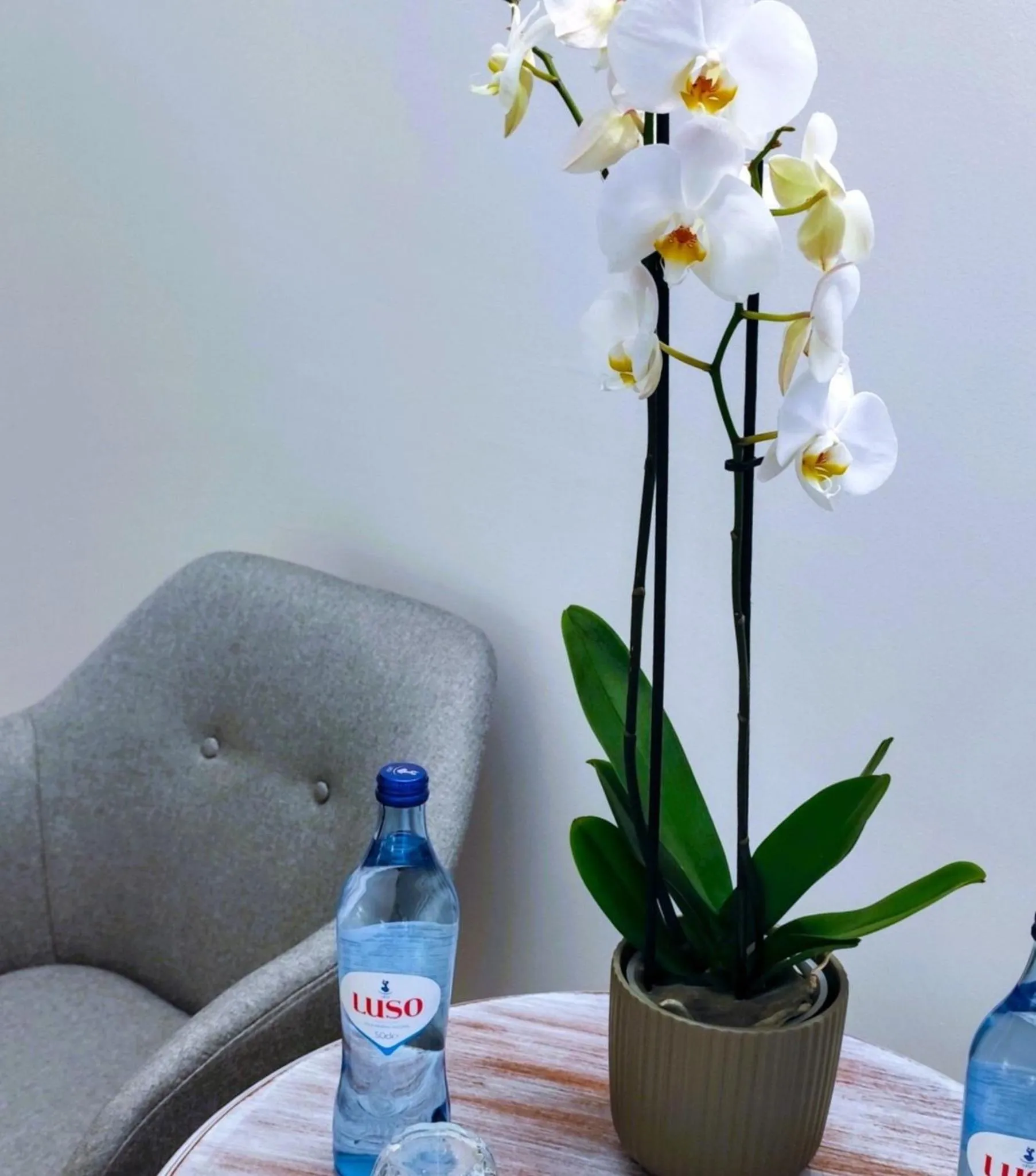 Decorative detail in Hotel Central