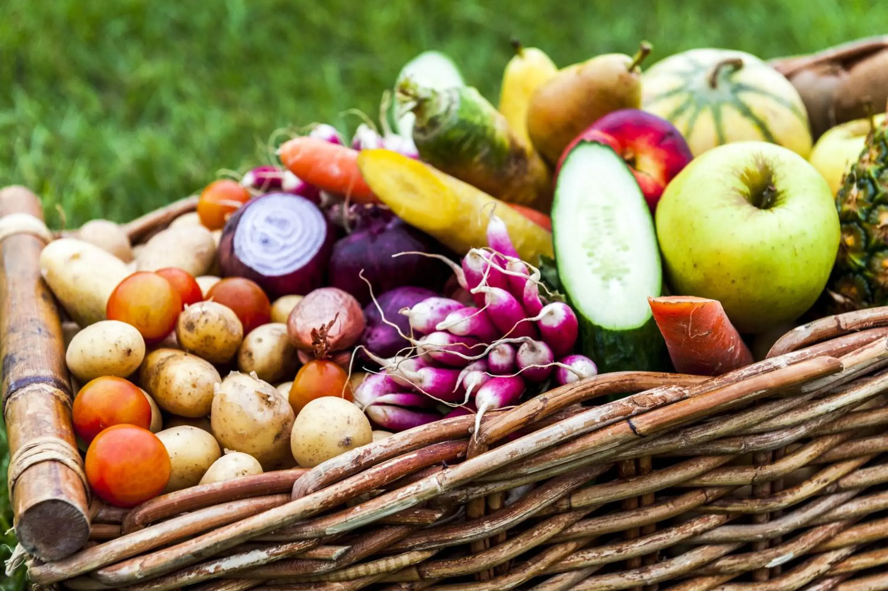 Restaurant/places to eat in Brit Hotel Toulouse Colomiers – L’Esplanade Restaurant/places to eat in Brit Hotel Toulouse Colomiers – L’Esplanade