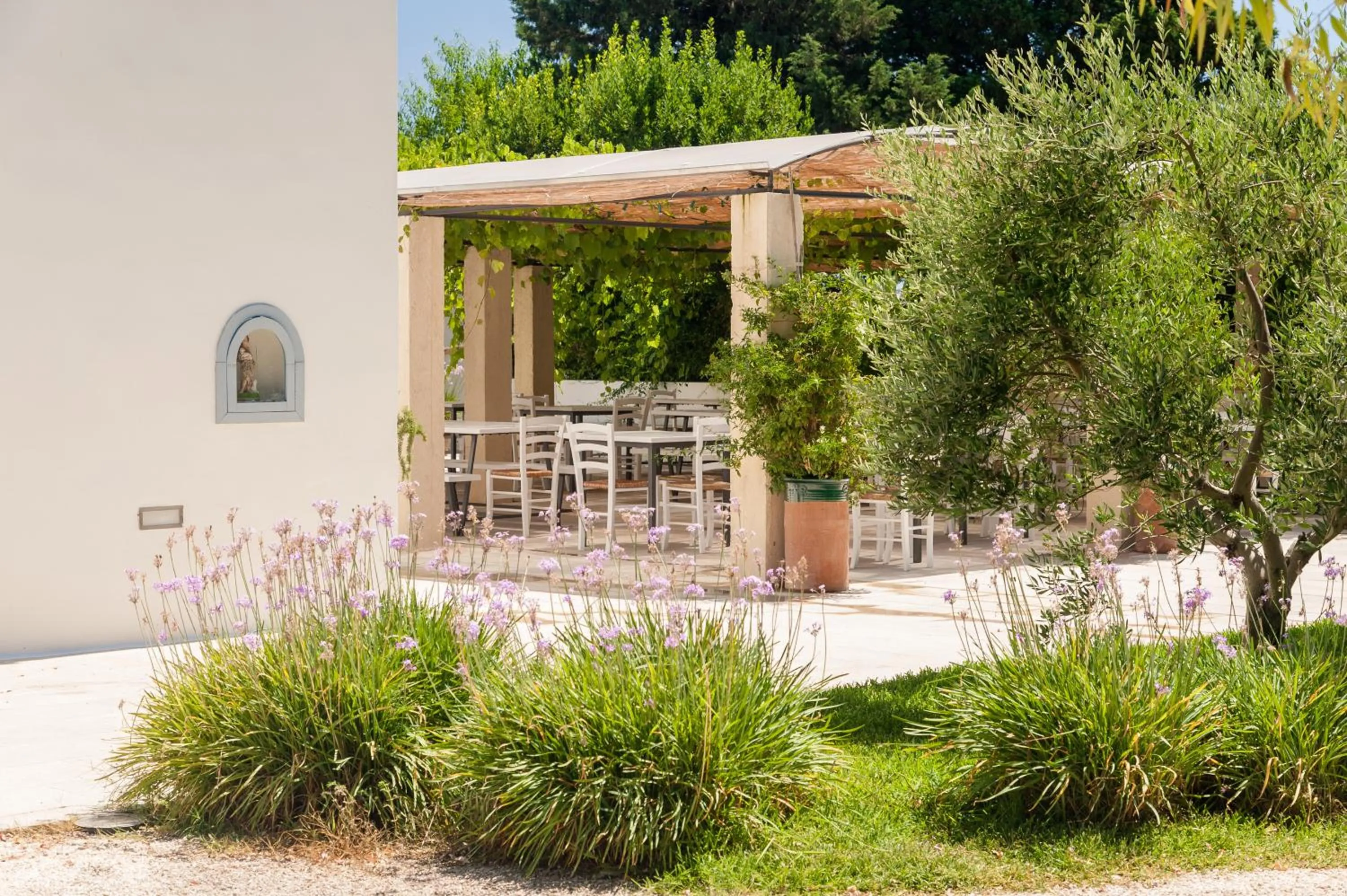 Restaurant/places to eat in Masseria Montelauro