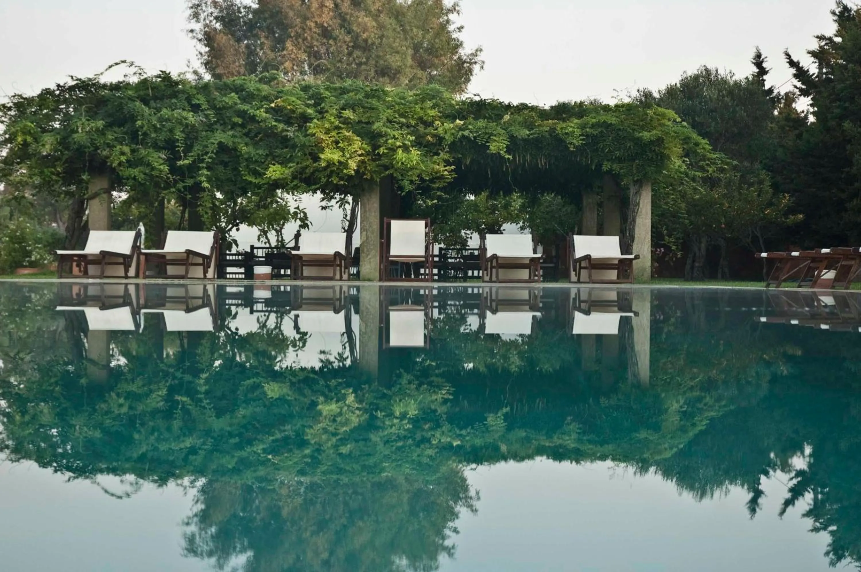 Swimming pool in Masseria Montelauro