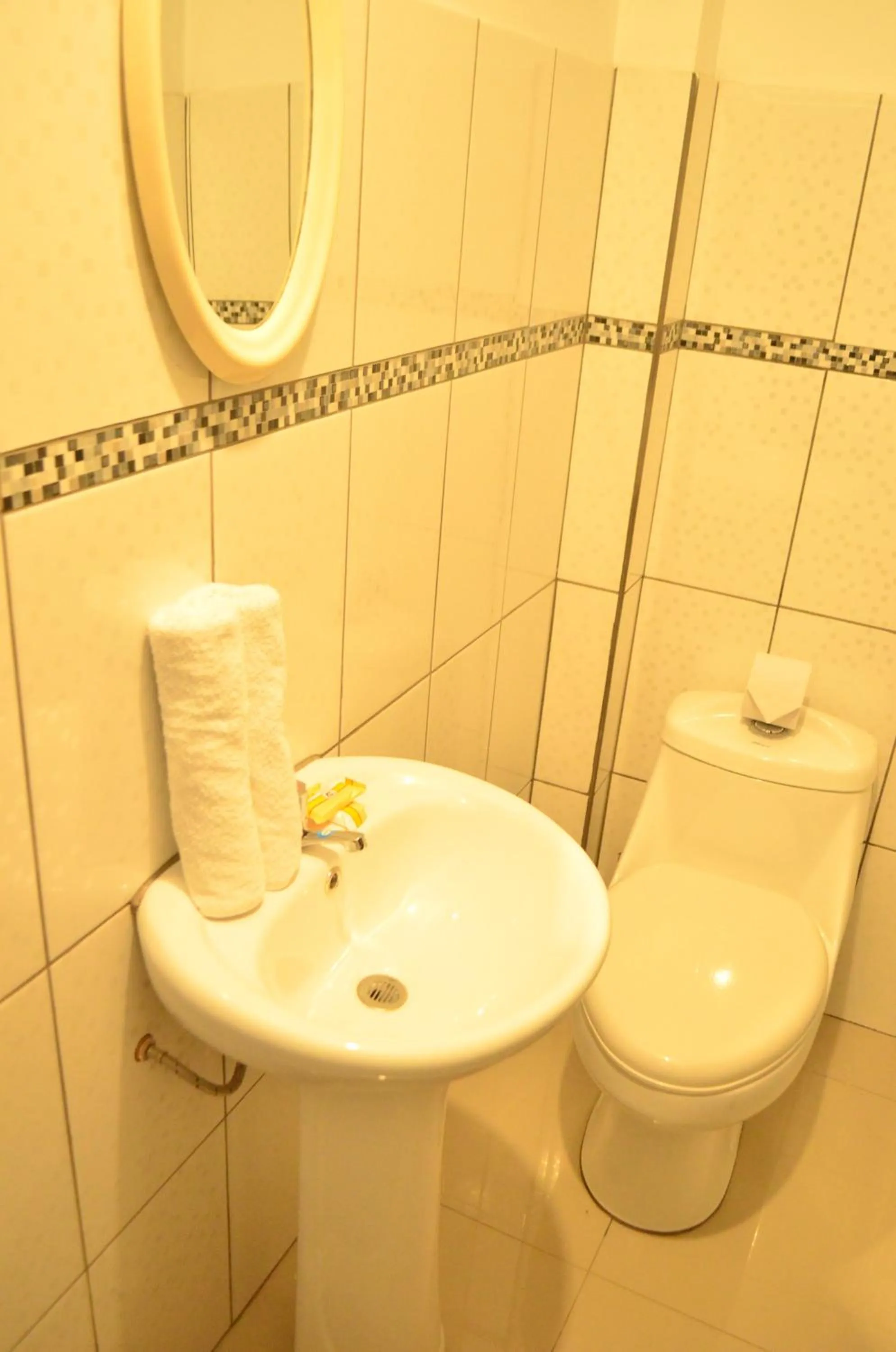 Bathroom in Rosenverg B&B Tours