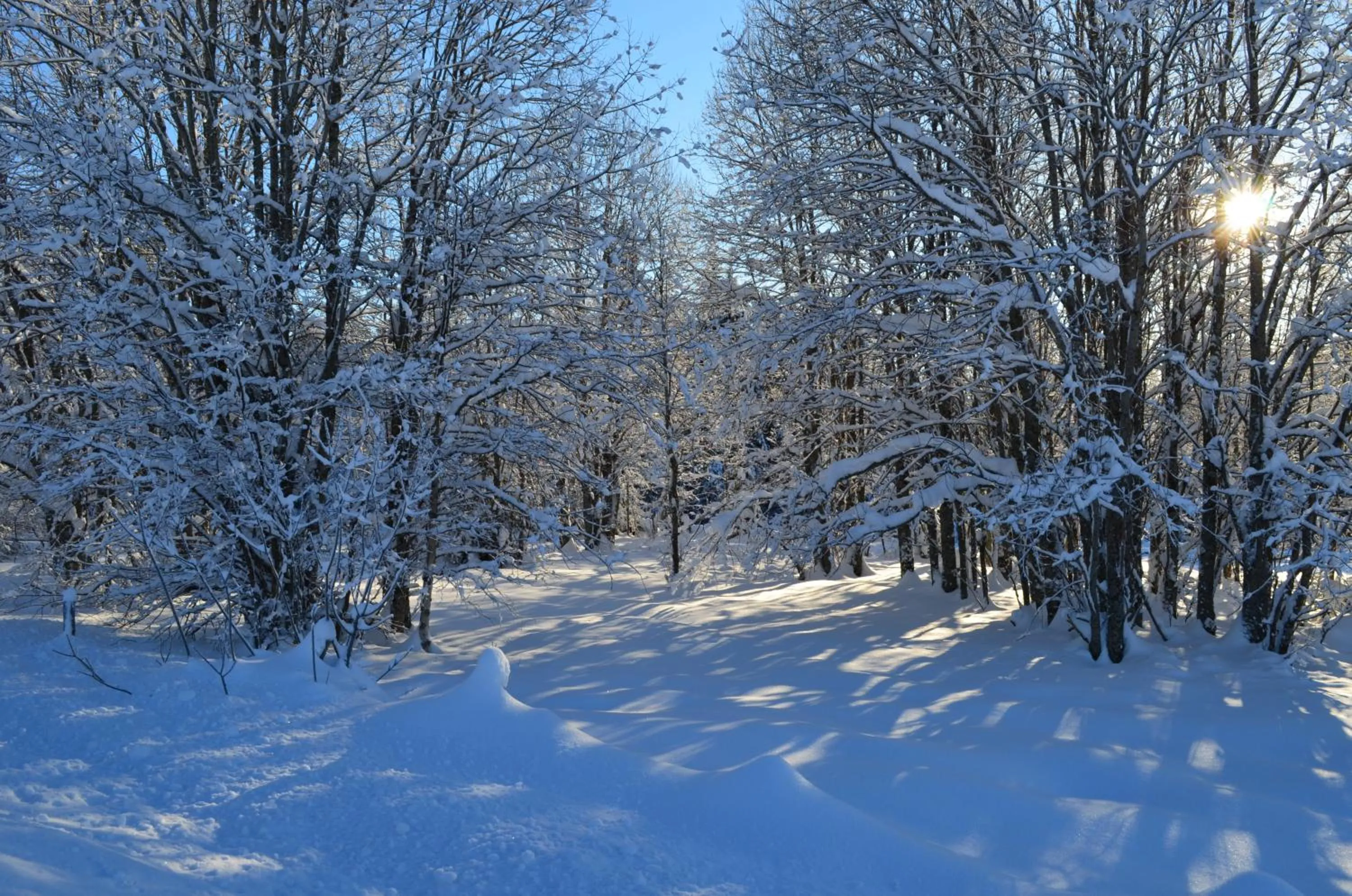 Natural landscape in Kjølen Hotel Trysil