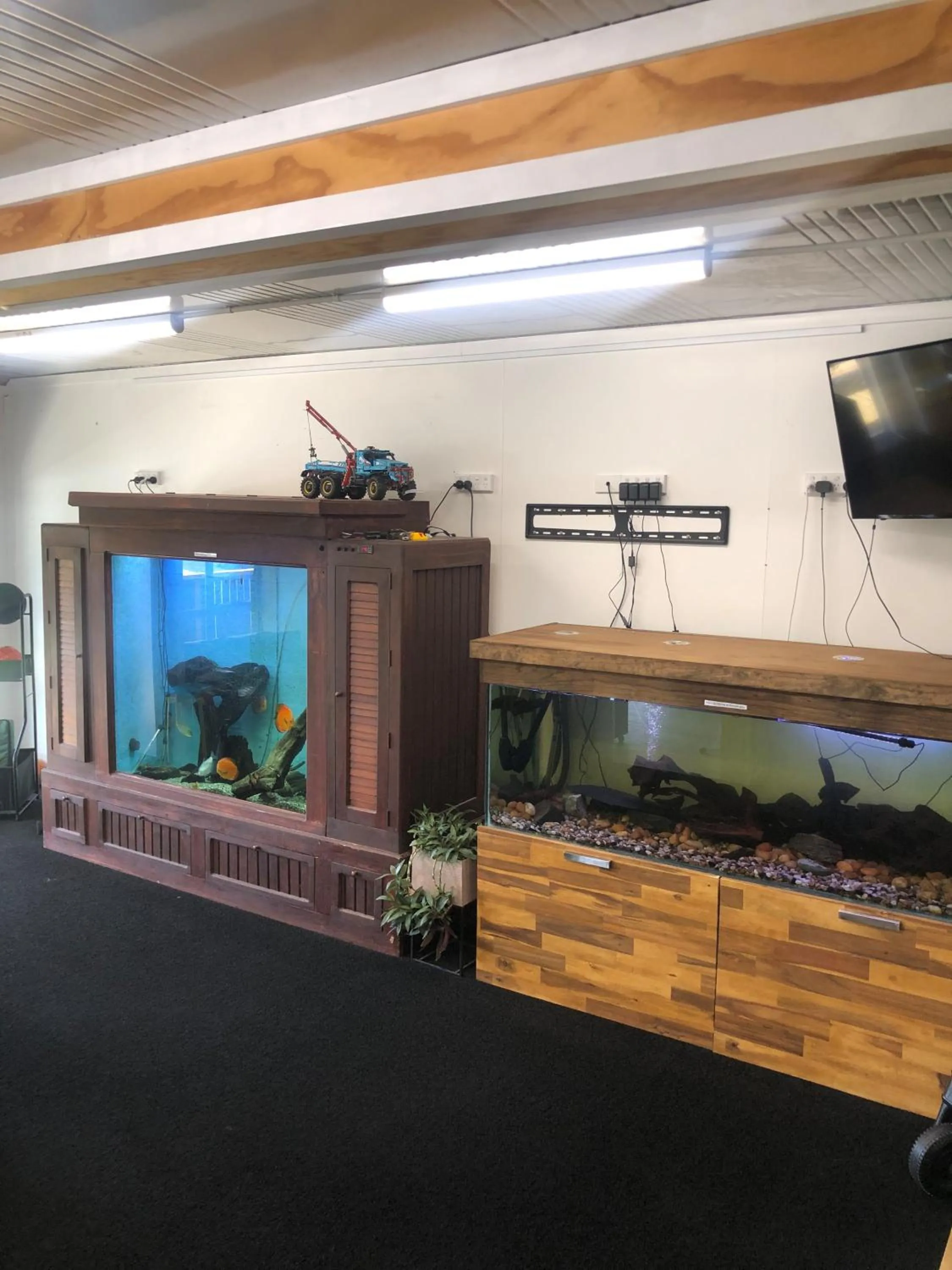 Communal lounge/ TV room in South Brighton Holiday Park