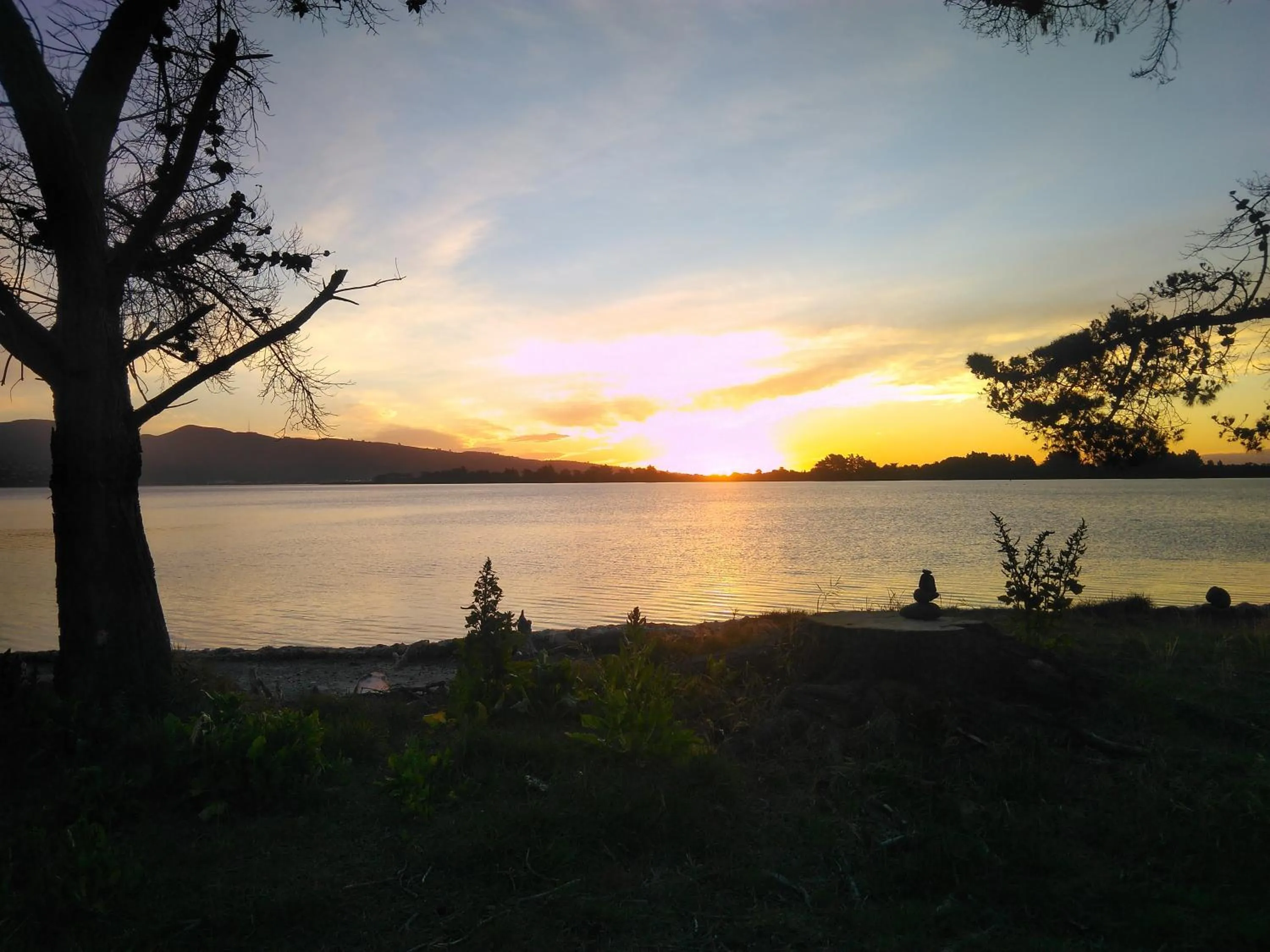 Natural landscape in South Brighton Holiday Park
