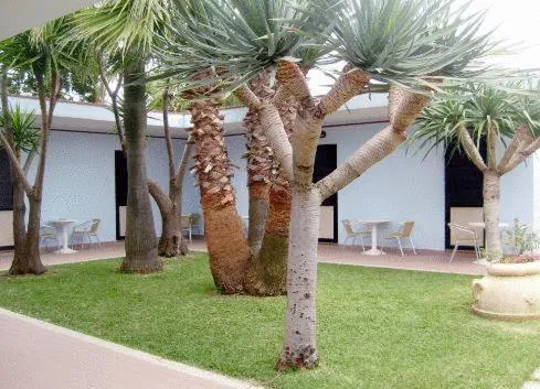 Day, Garden in Hotel B&B Marina