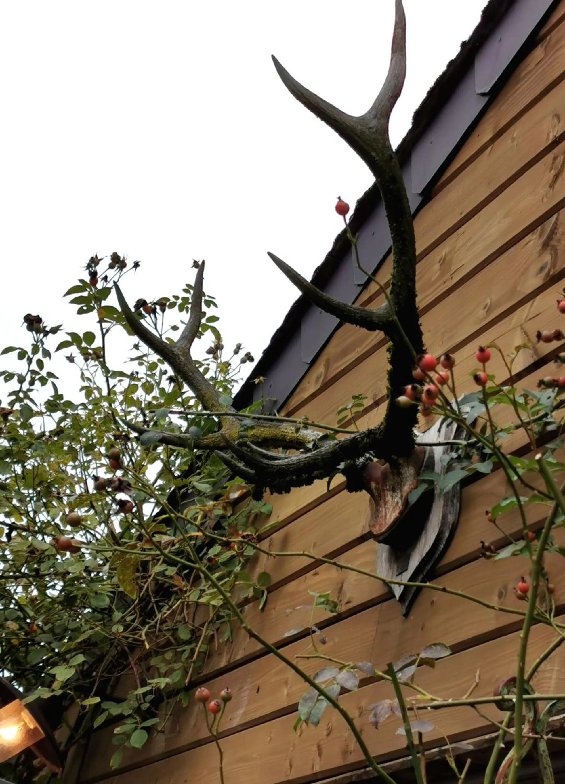 Decorative detail in Le Cerf d'Hubert