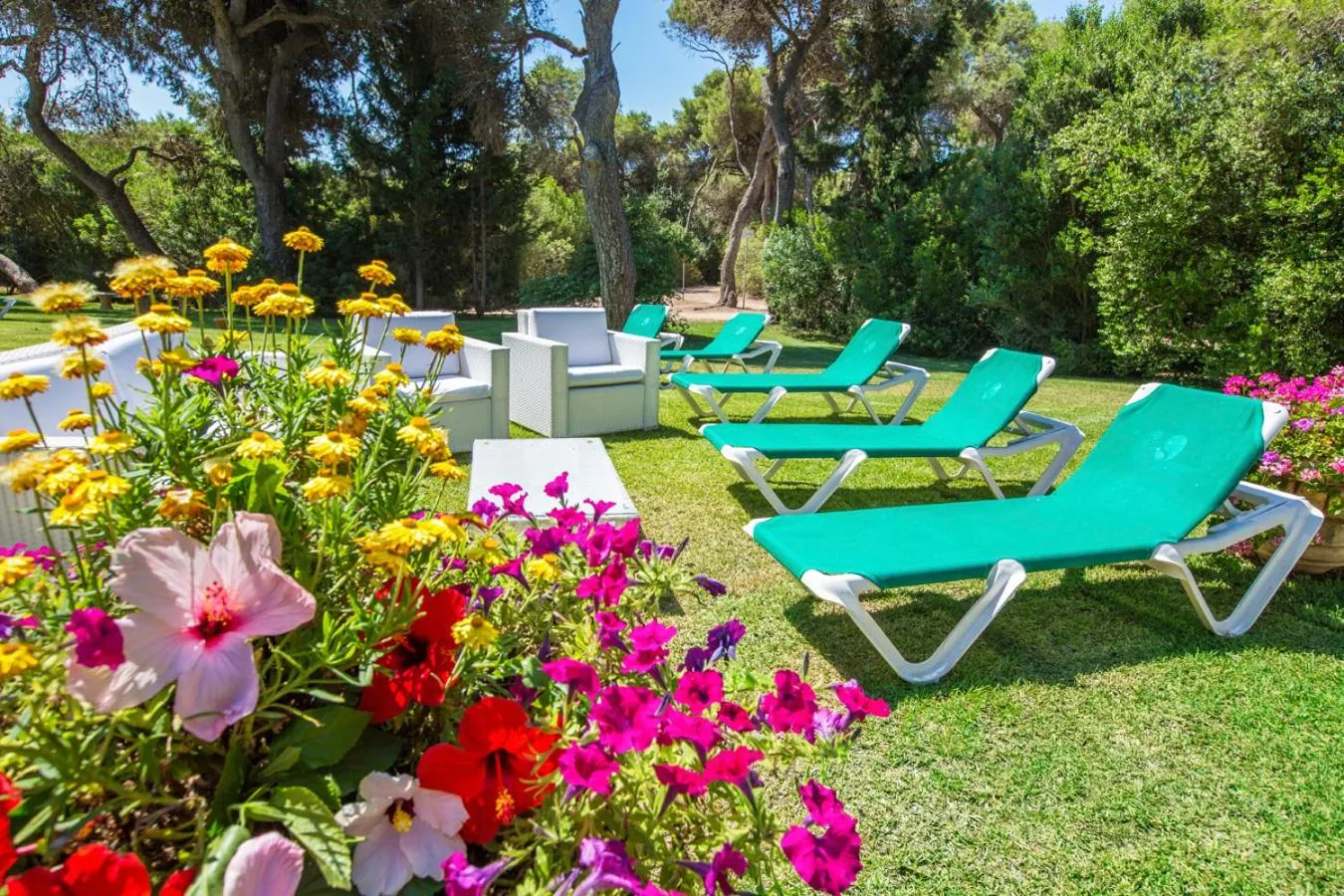 Garden in ROBINSON APULIA - All Inclusive