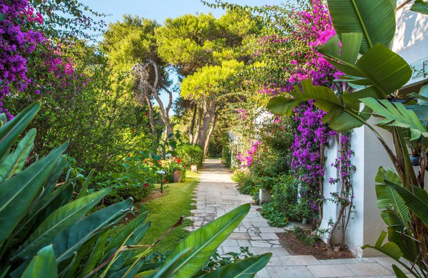 Garden in ROBINSON APULIA - All Inclusive