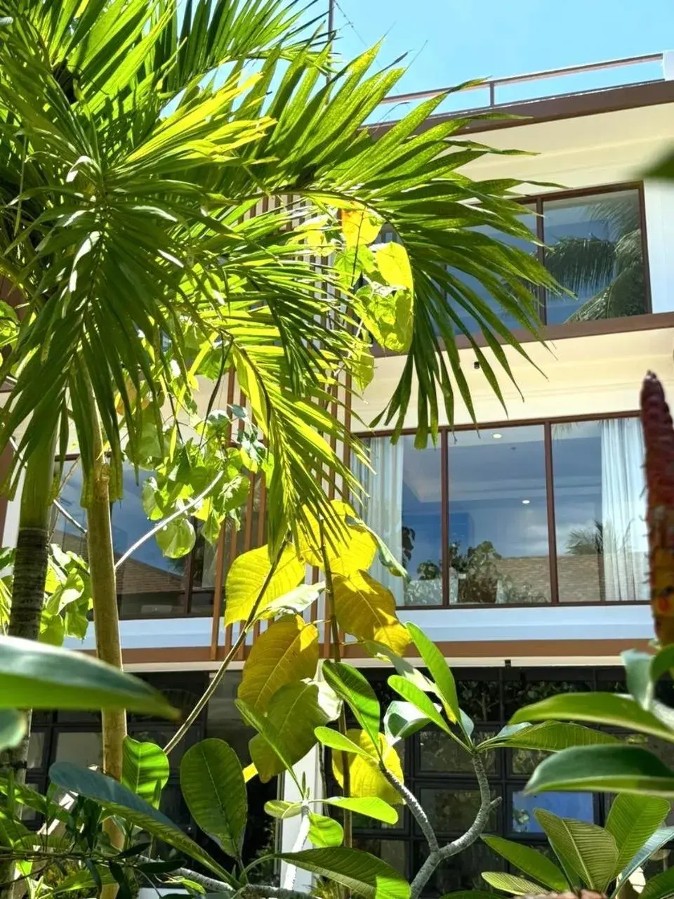 Property building in Siargao Island Villas Property building in Siargao Island Villas