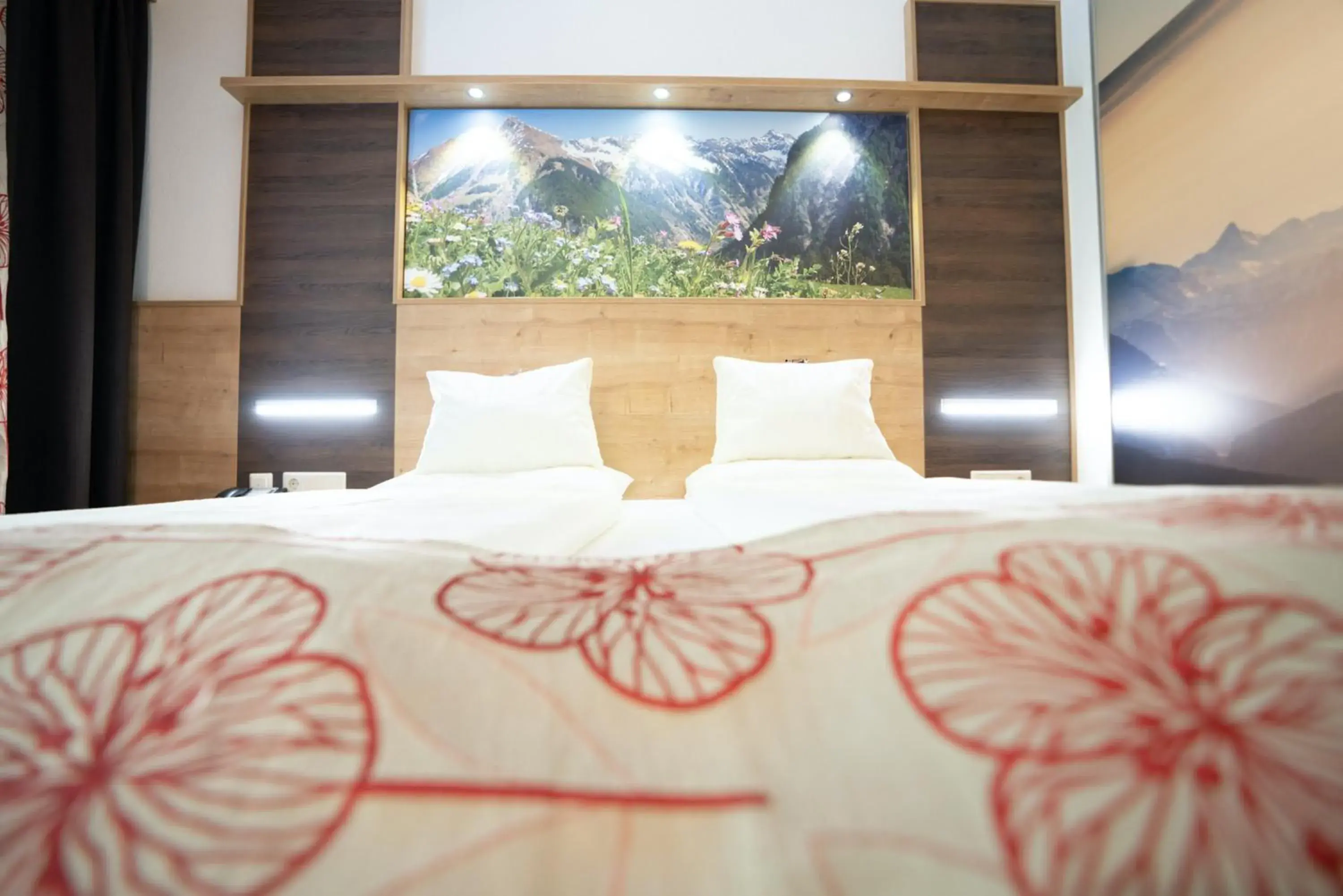 Double Room - single occupancy in Hotel Gundolf Double Room - single occupancy in Hotel Gundolf