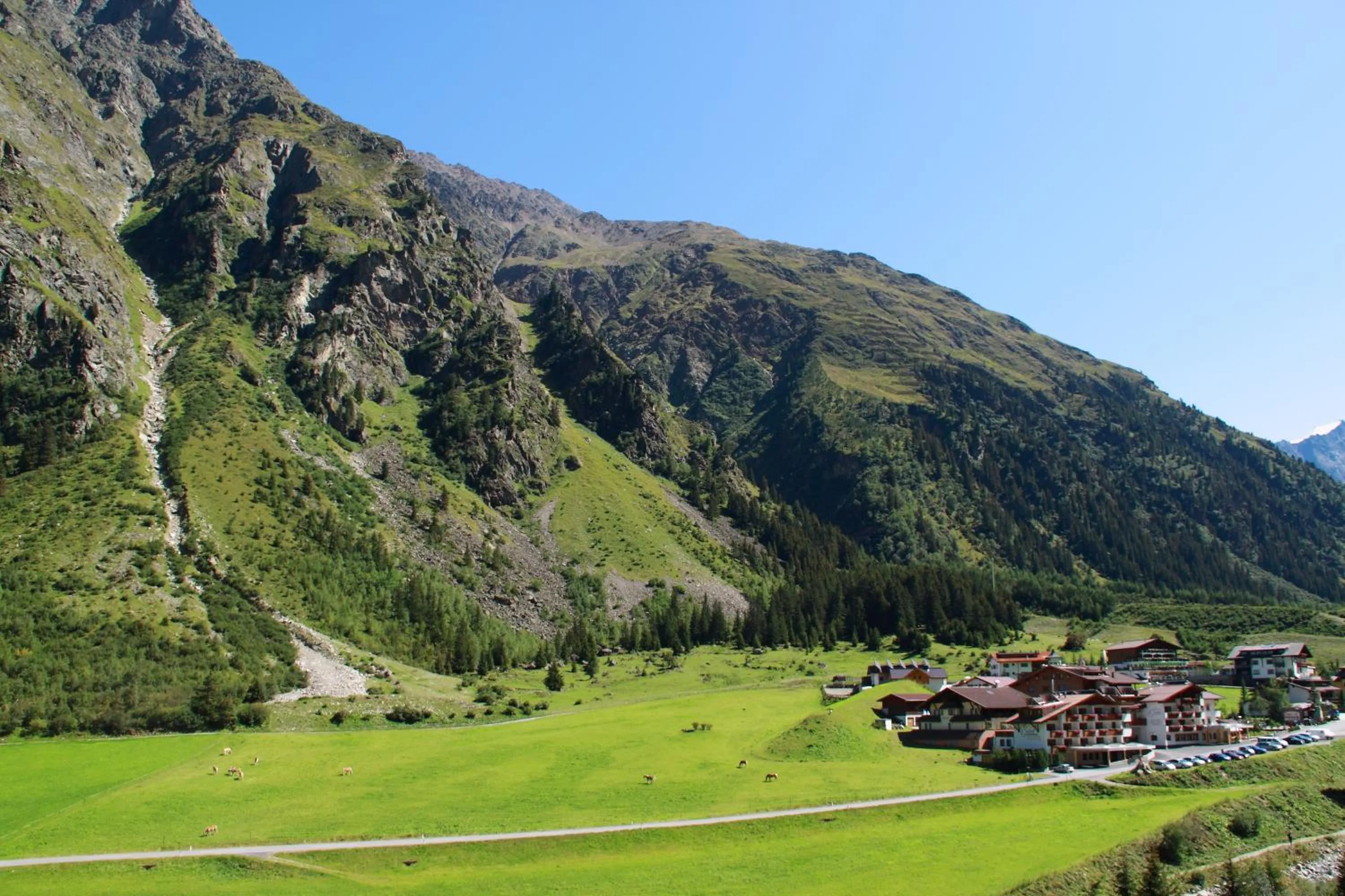 Area and facilities in Hotel Gundolf