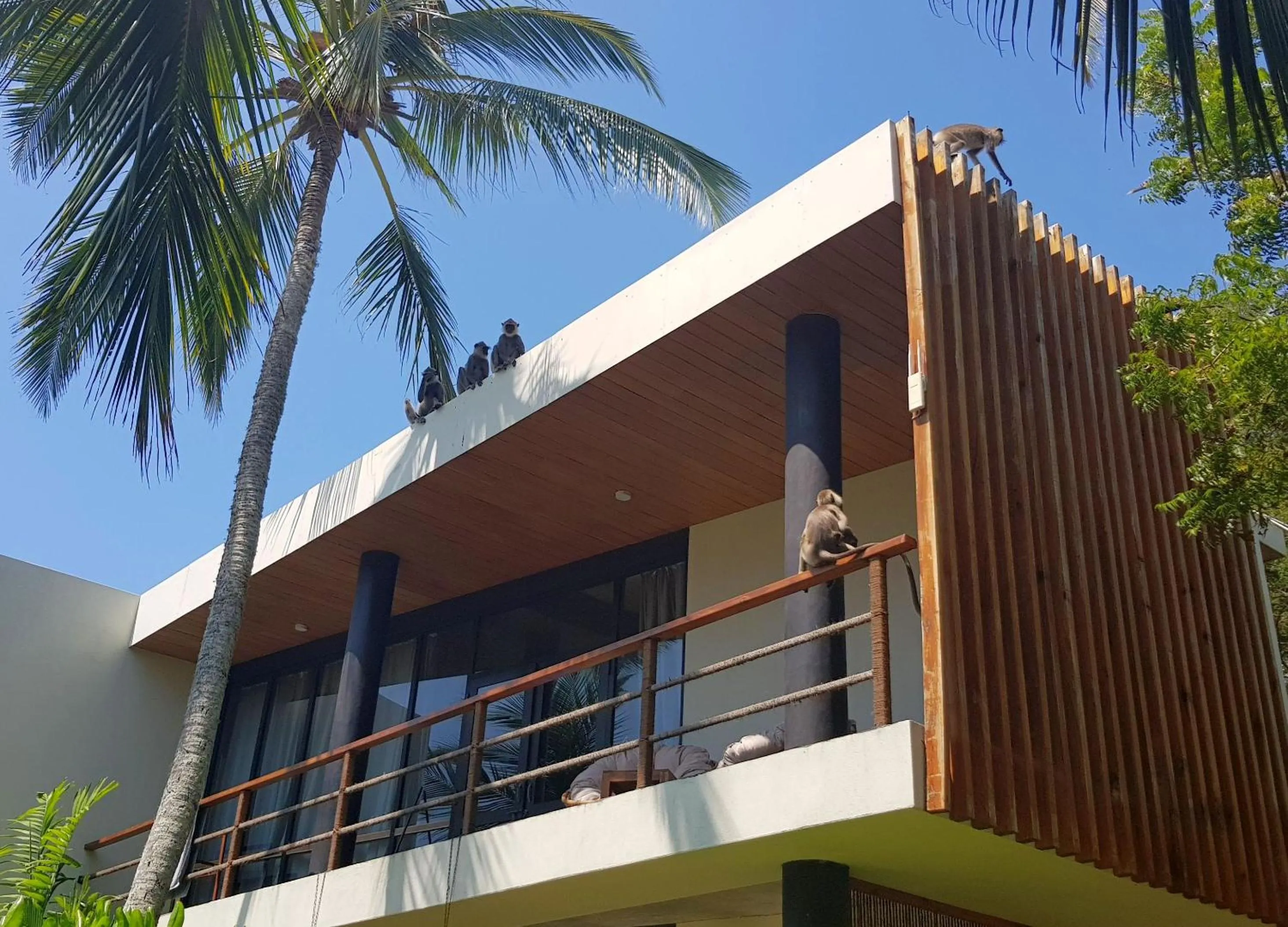 Property building in Lankavatara Ocean Retreat & Spa