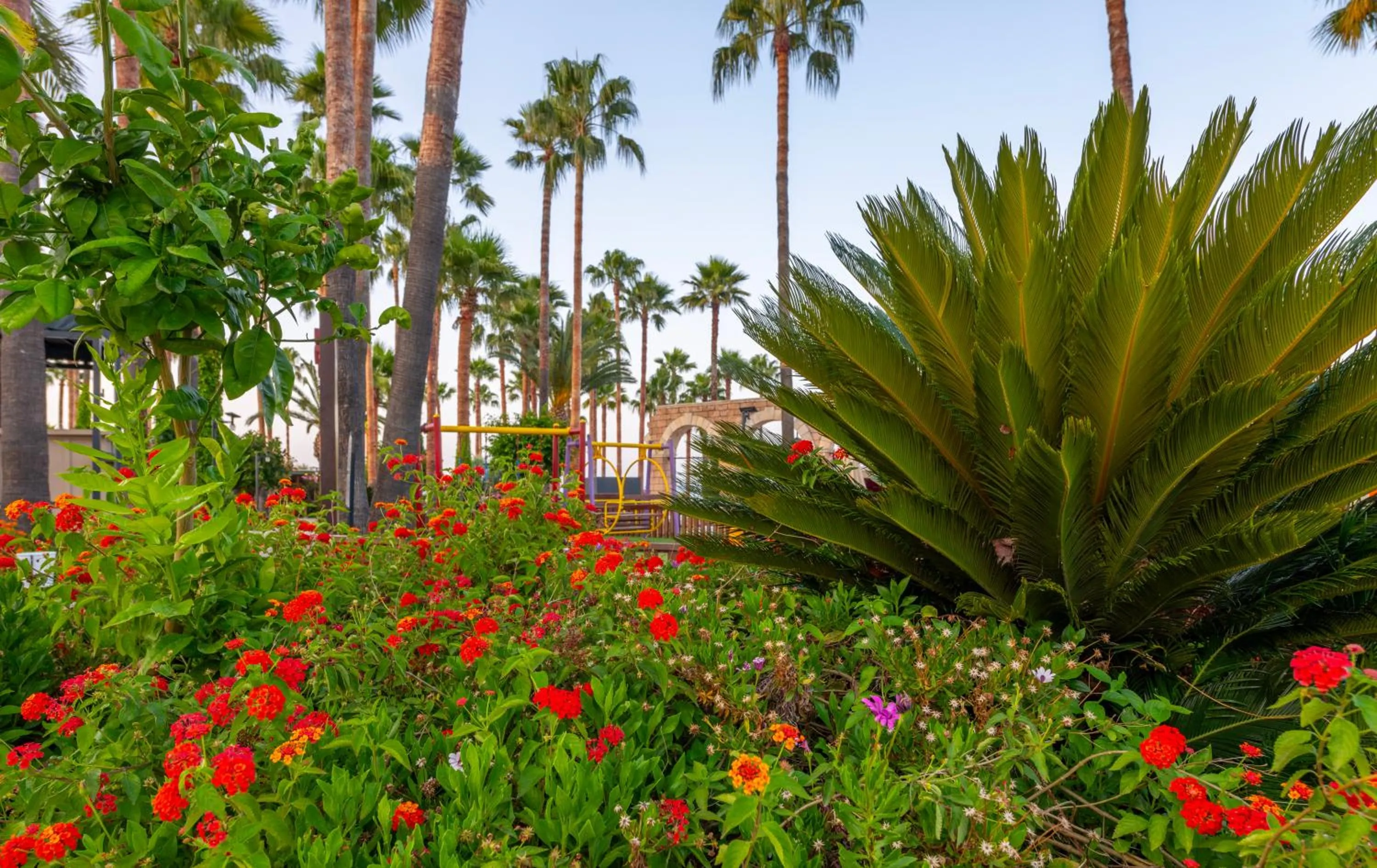 Garden view in Meryan Hotel - Ultra All Inclusive