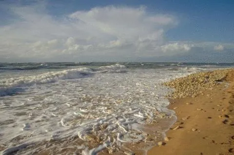 Area and facilities in Hotel L'Oceane
