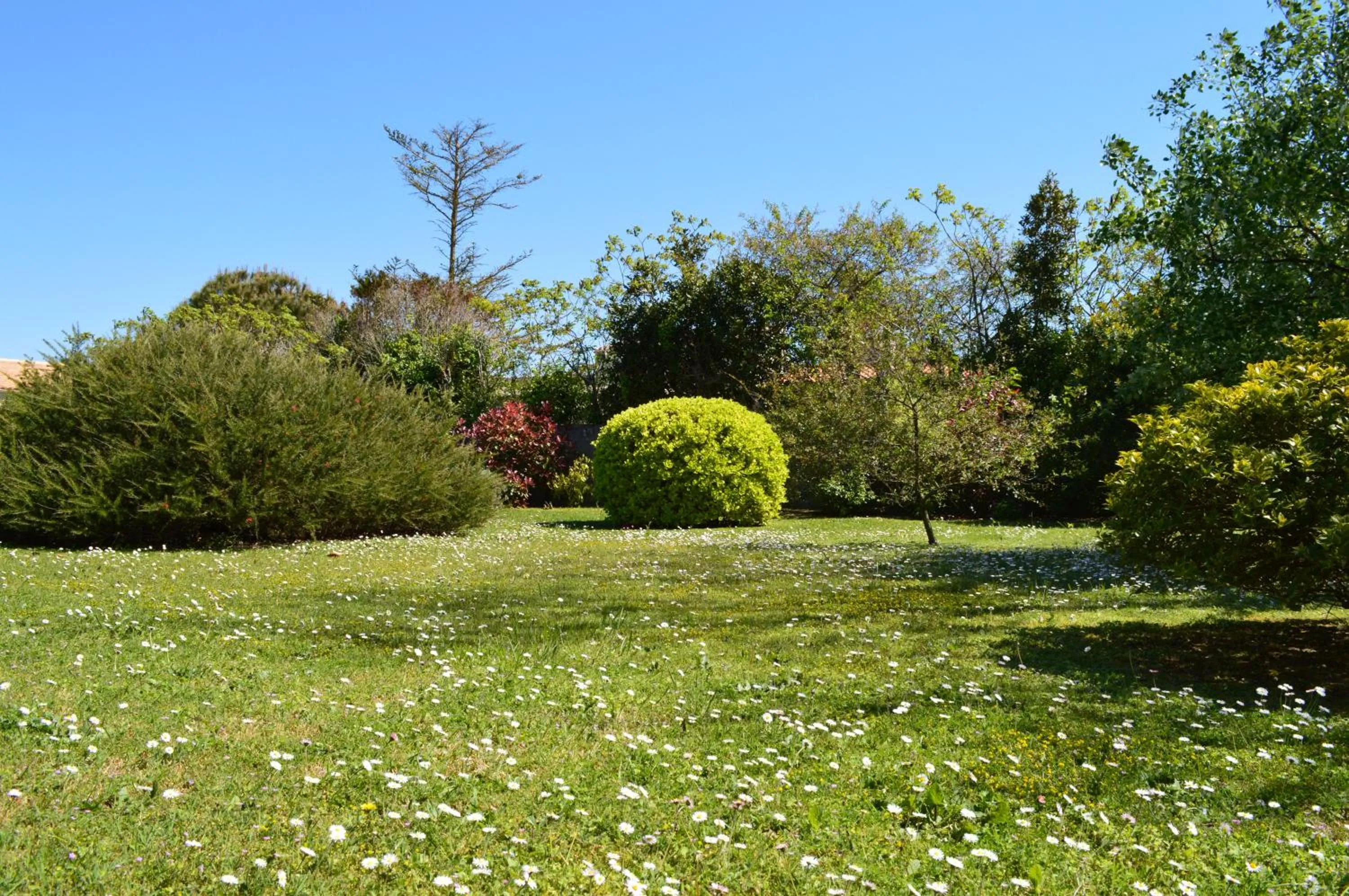 Day in Hotel L'Oceane