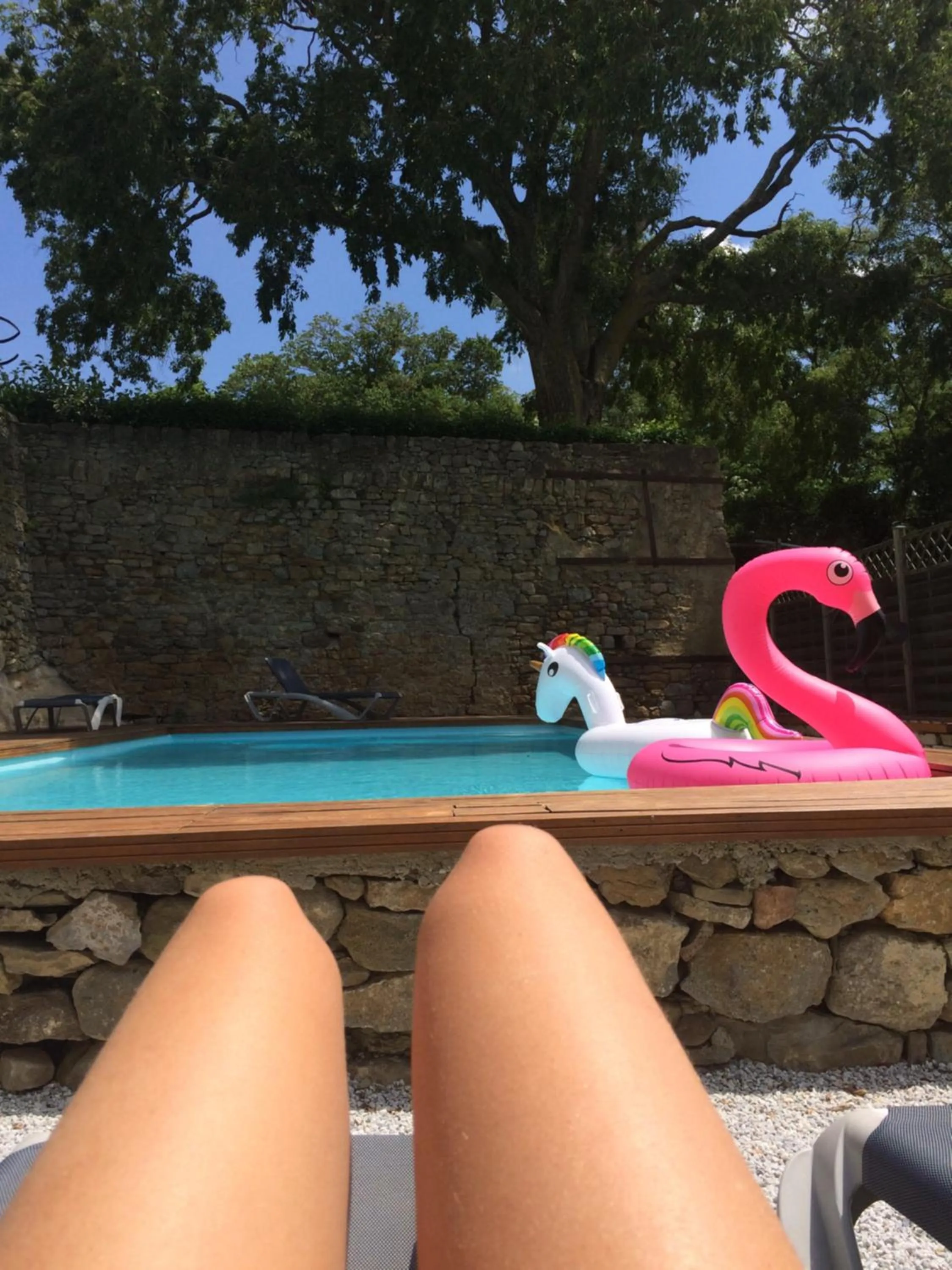 Swimming pool in Logis Hôtel Château De Palaja