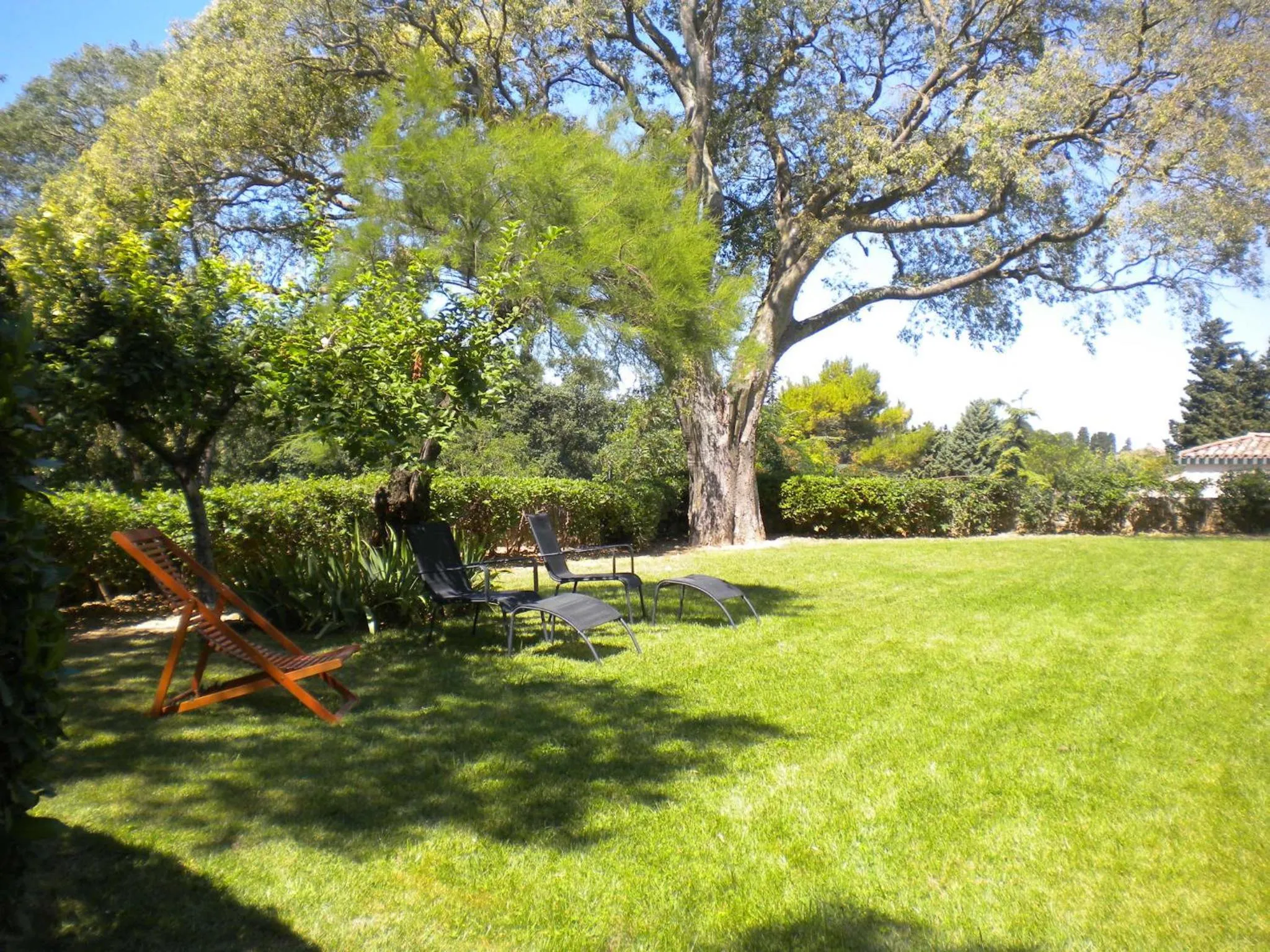 Garden in Logis Hôtel Château De Palaja